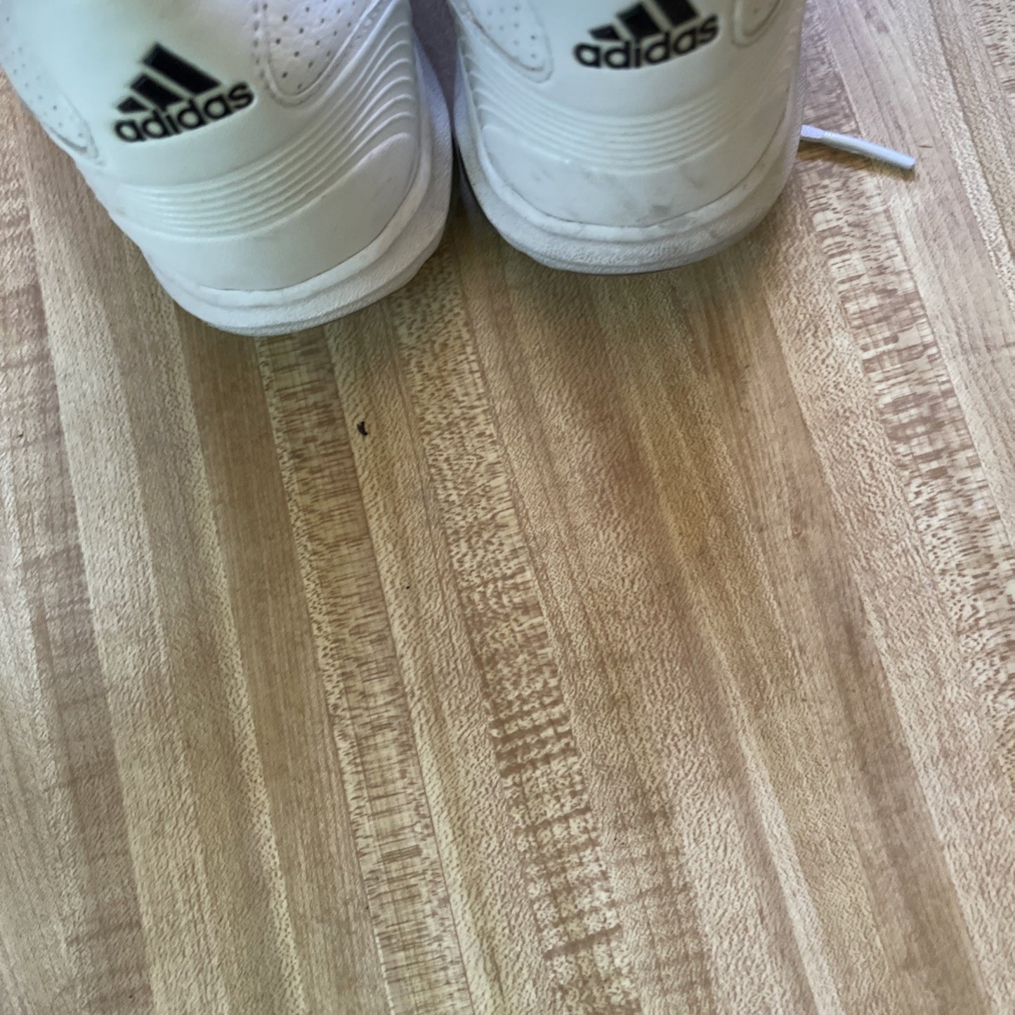 adidas tour 360 golf shoes 13