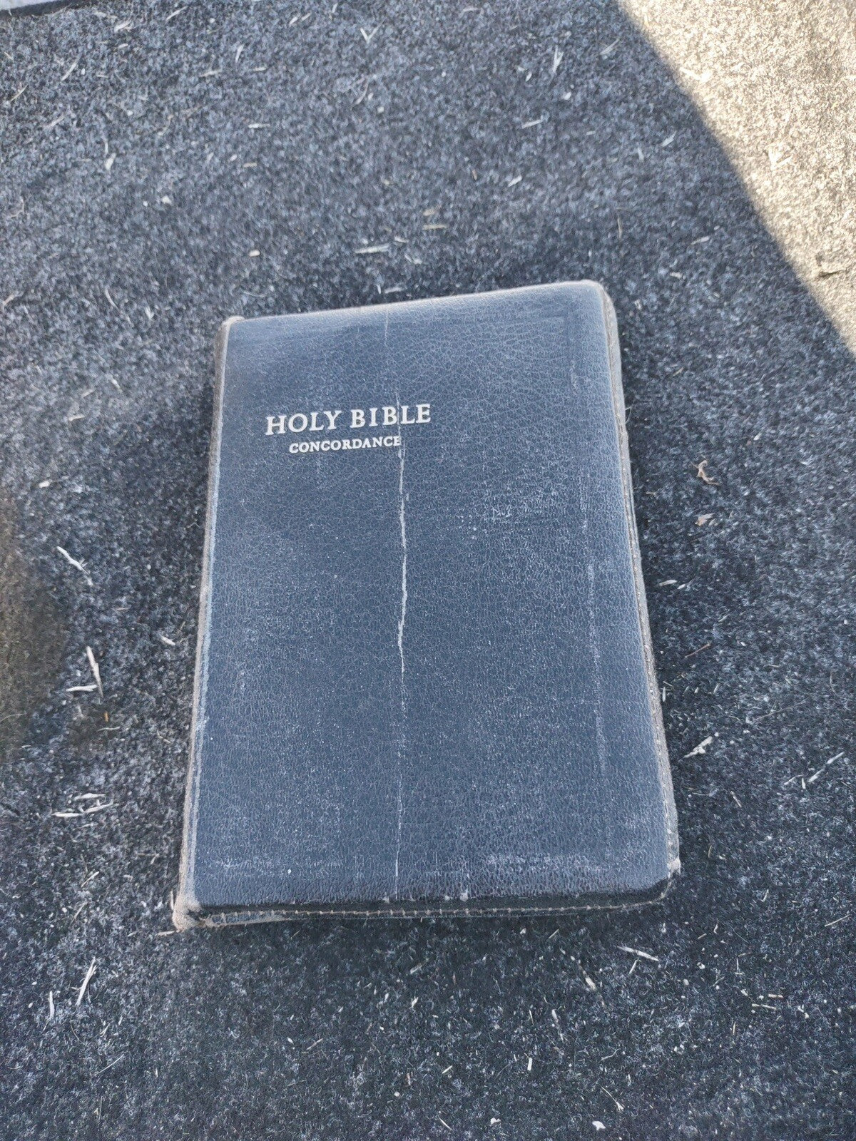 holy bible concordance
