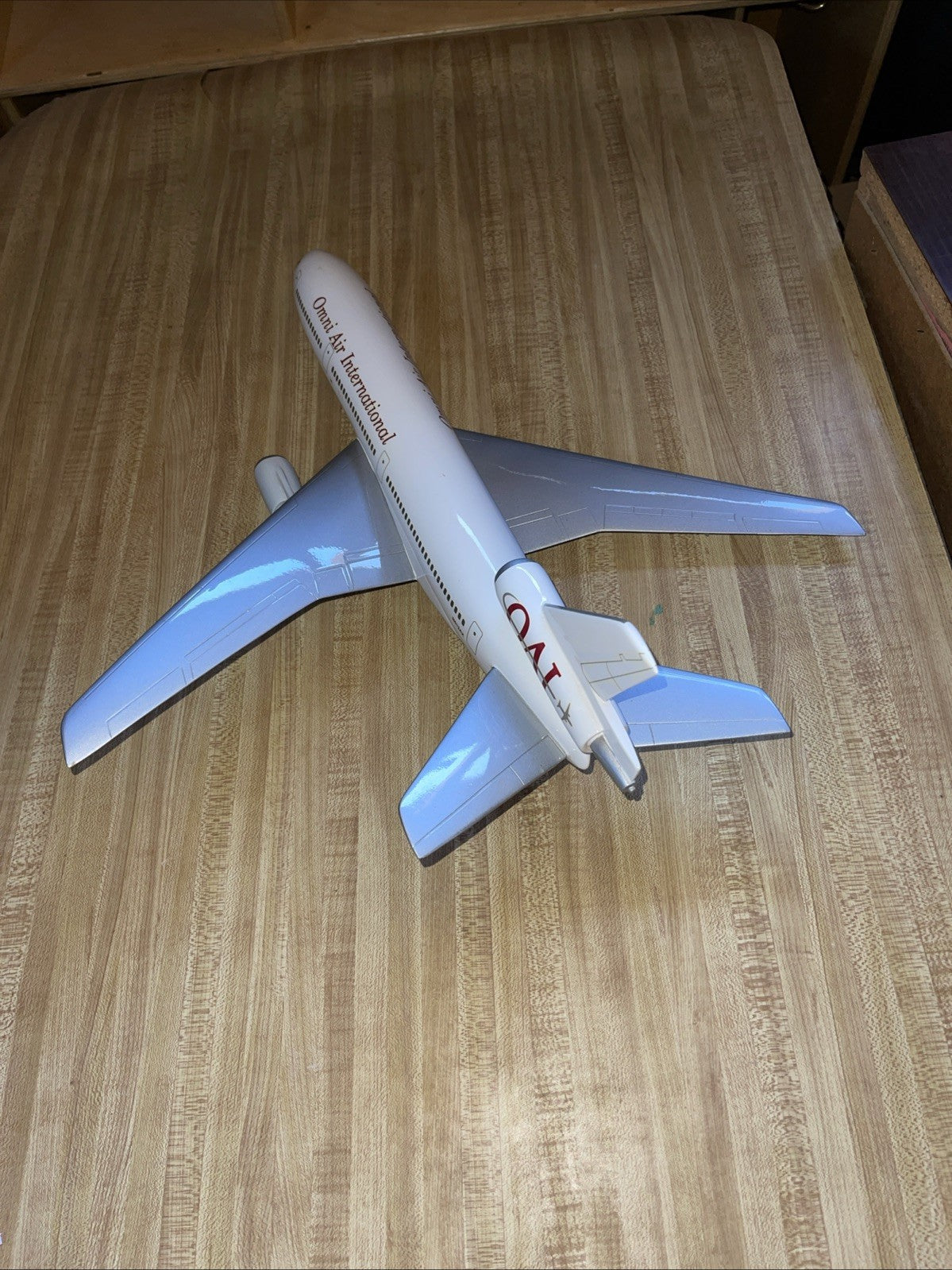 Omni Air International Plane 22x20