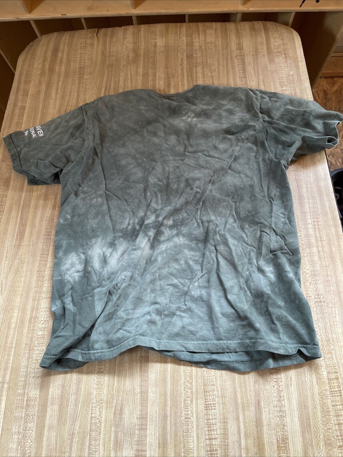 The Mountain Organic T Shirt Large