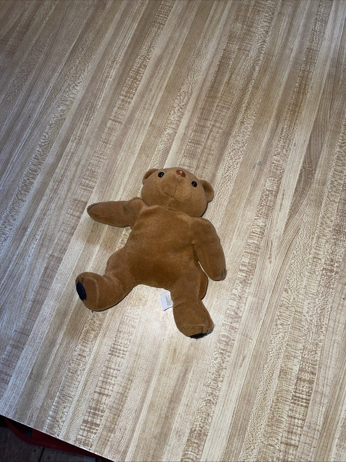 Floppy Friends Bear