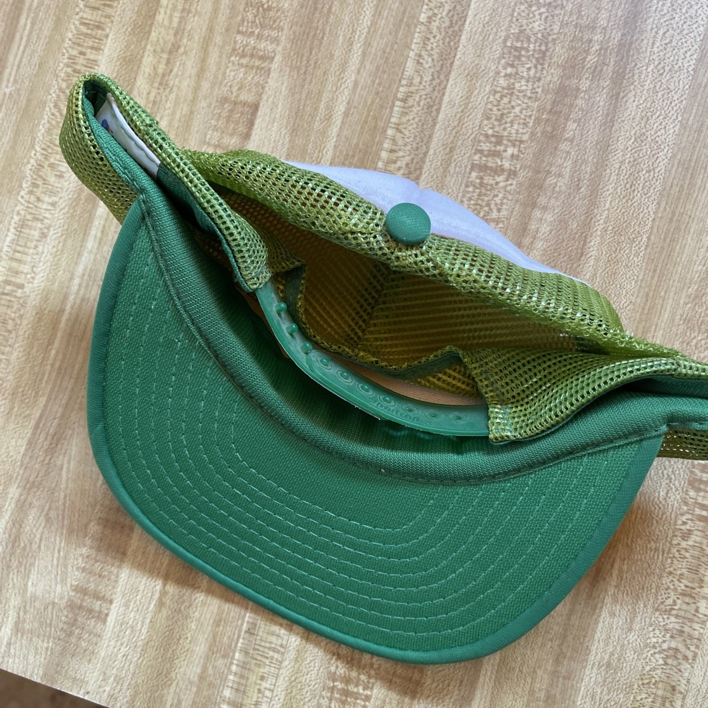 Vintage St George Lions Dixie Downs SnapBack From 1990