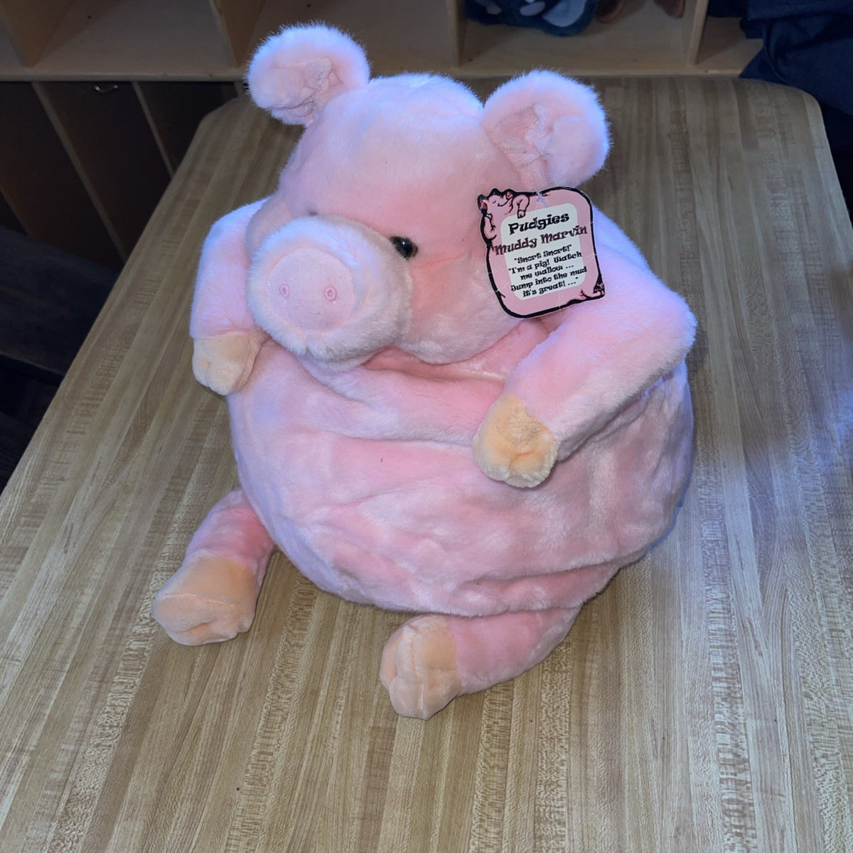 Pudgies Muddy Marvin Plush Pig