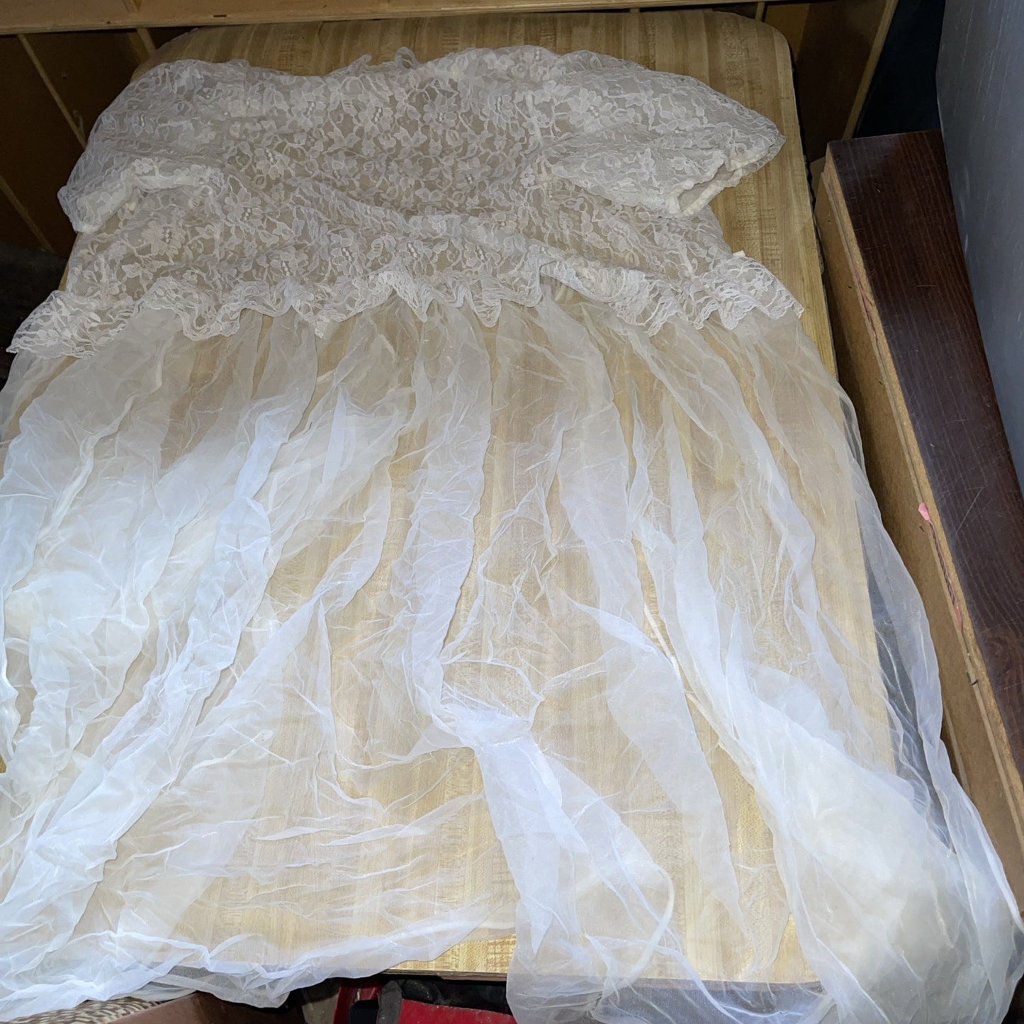 Vintage Shannon Lee Sheer Nightgown