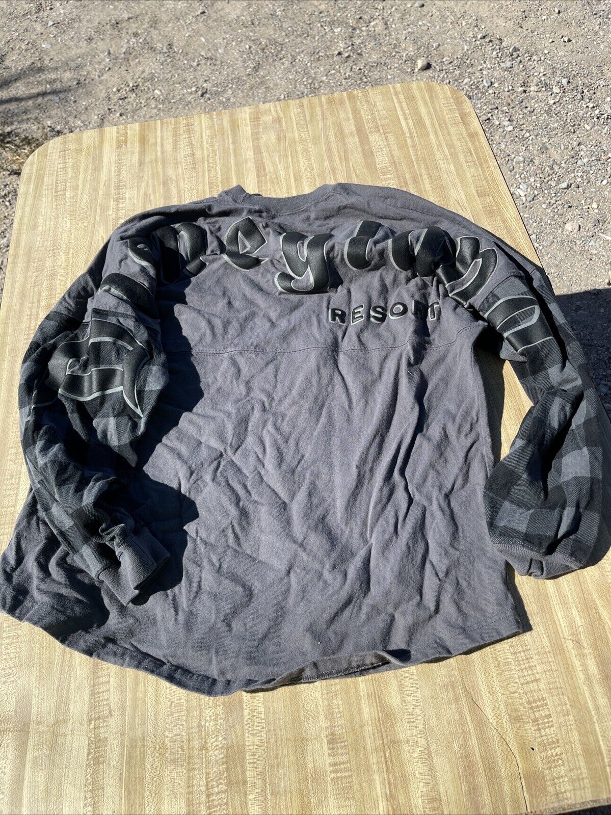 Disney Spirit Jersey Large