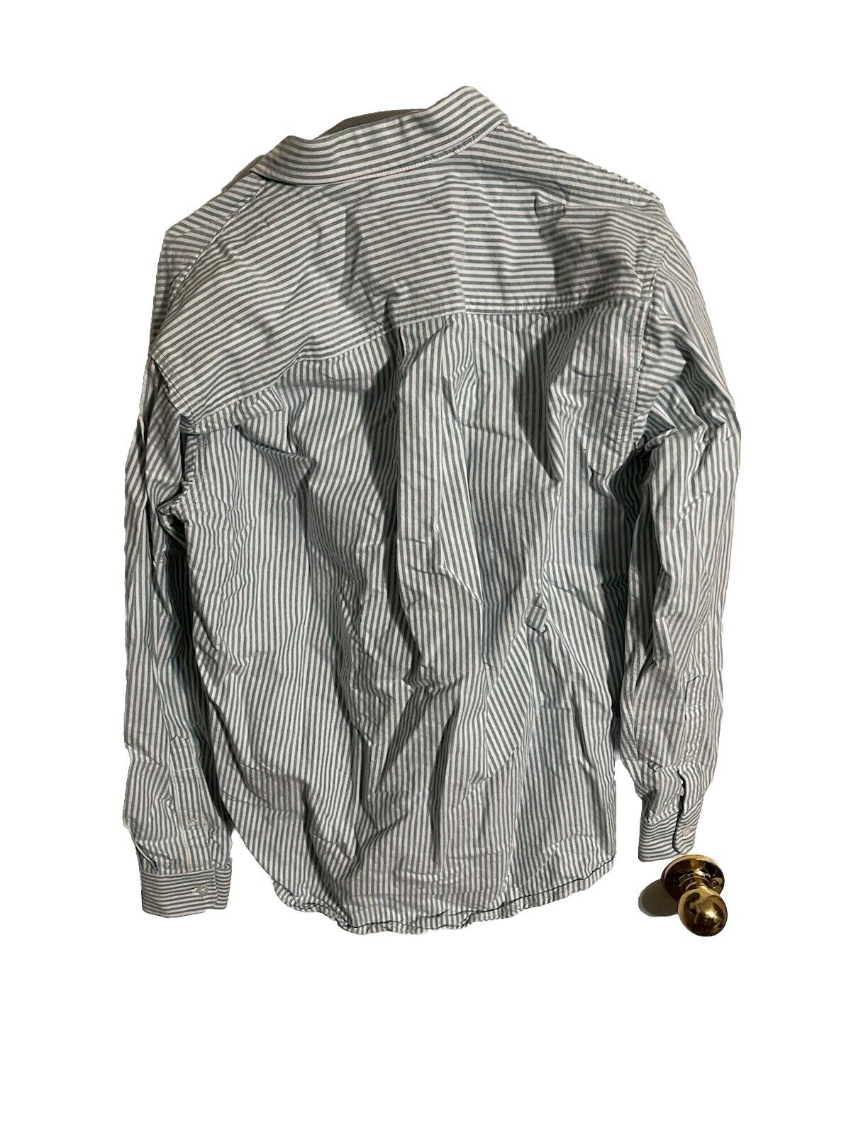 Cinch Button Down Small