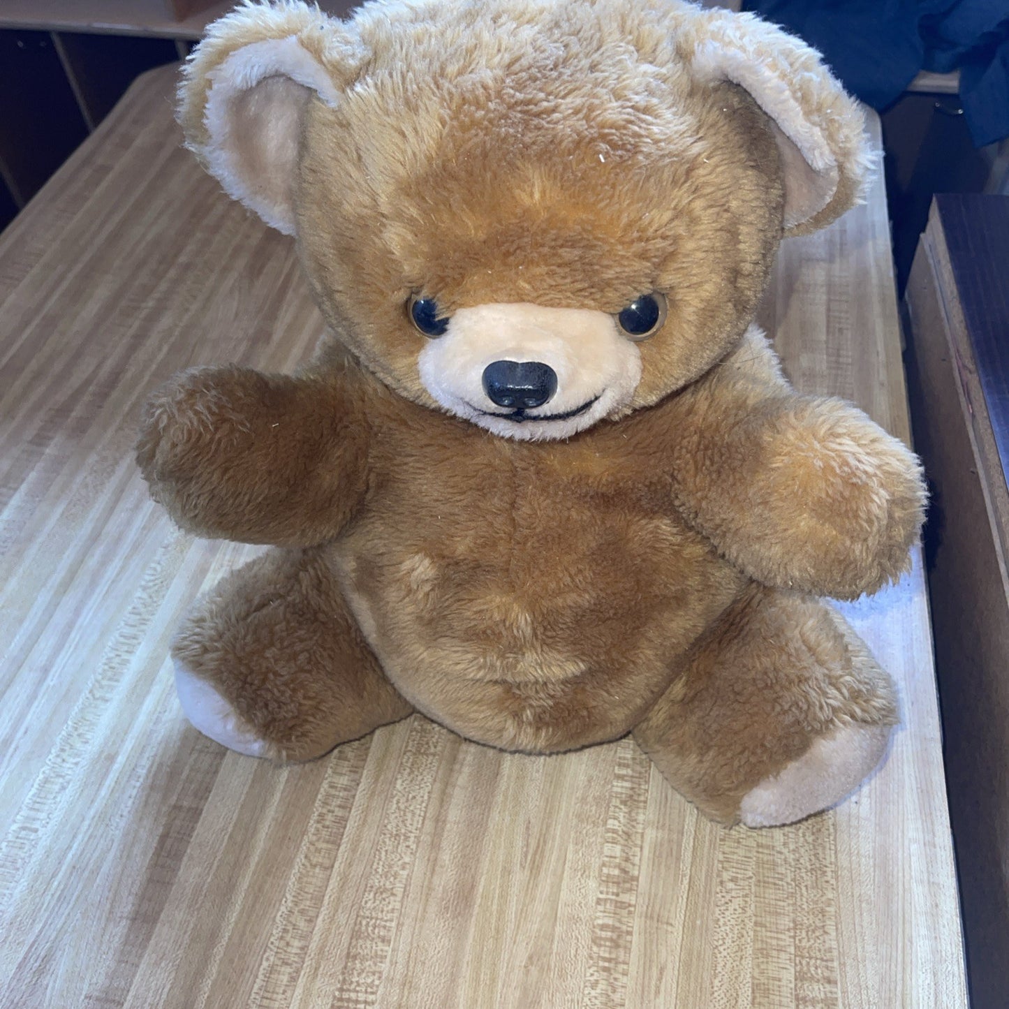 Creepy Vintage Teddy Bear Possibly Haunted The Eyes Follow You