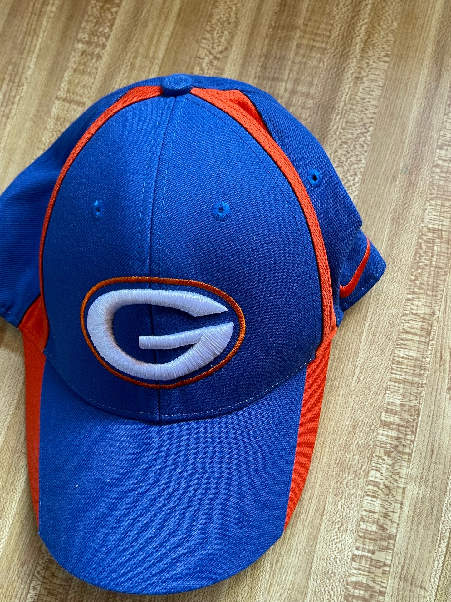 Nike Georgia Bulldogs hat