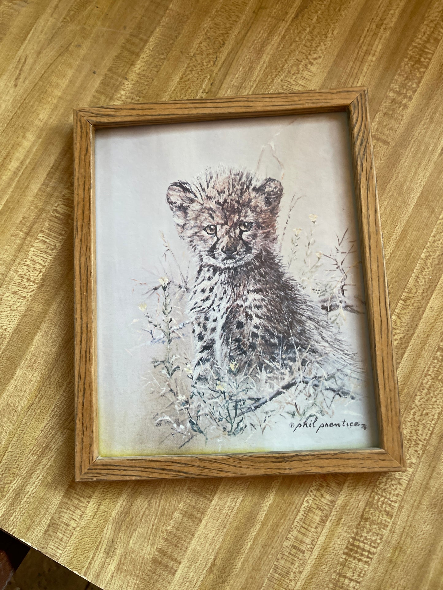 Vintage Phil prentice cheetah cub