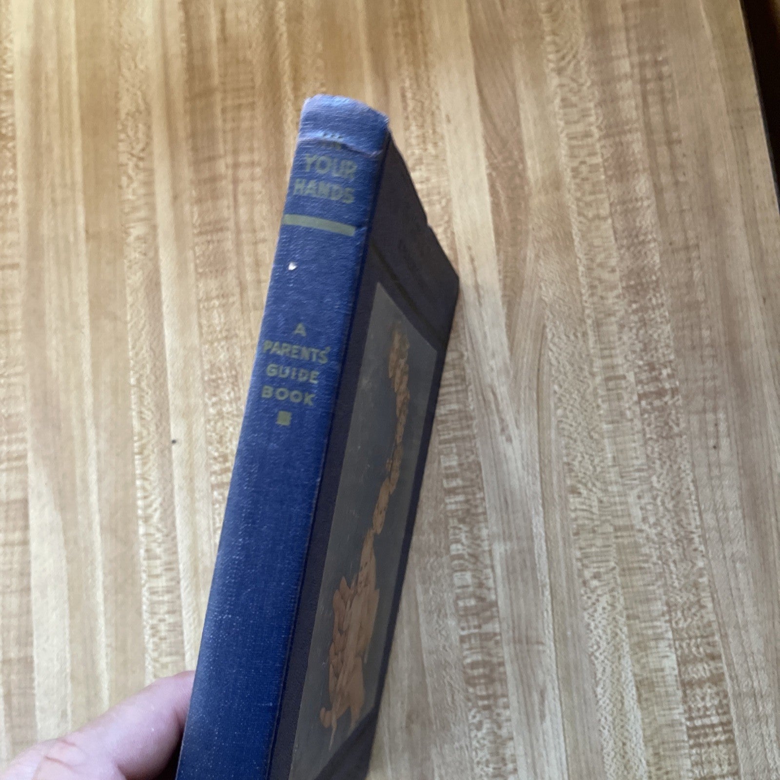 In Your Hands Hardcover 