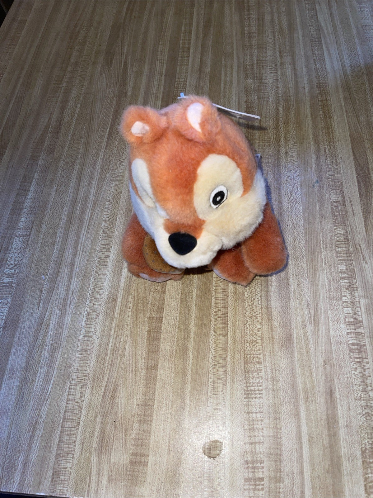 Disneyland Resorts Plush