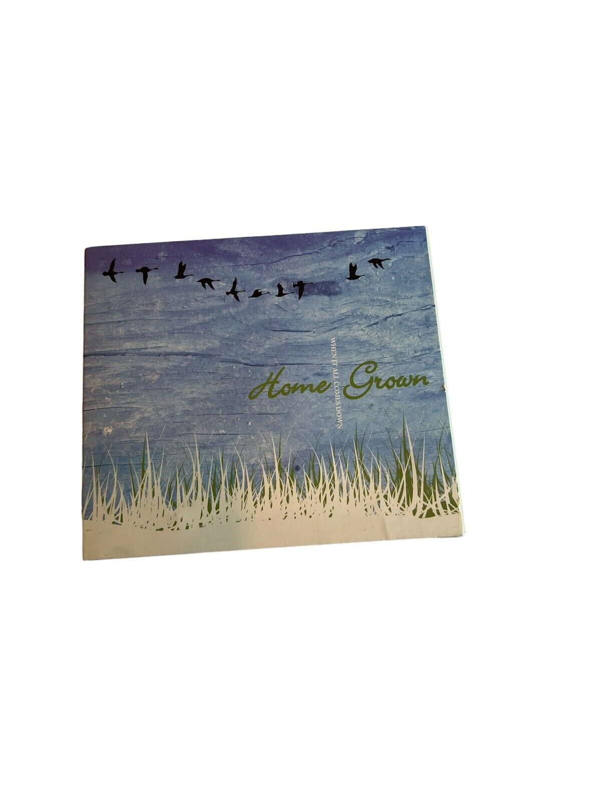 When It All Comes Down [EP] [Digipak] by Home Grown (Rock) (CD, Oct-2004,...