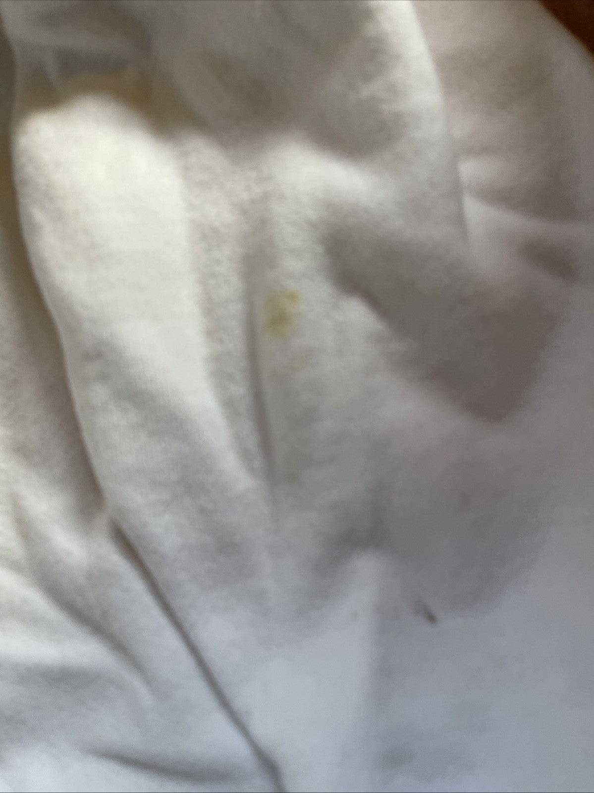 Champion Reverse Weave Hoodie XL