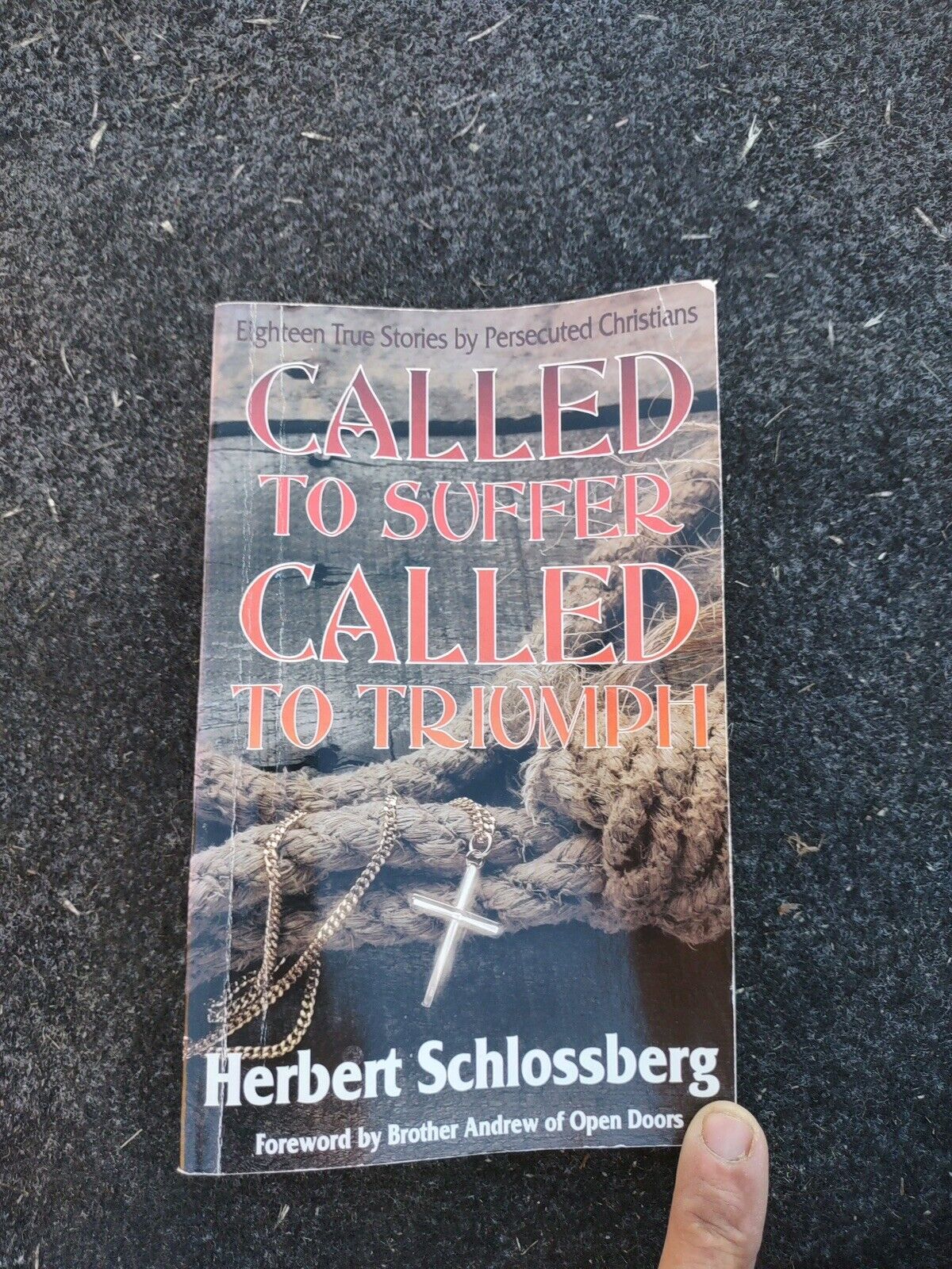 Called to Suffer, Called to Triumph by Herbert Schlossberg (1990, Trade...