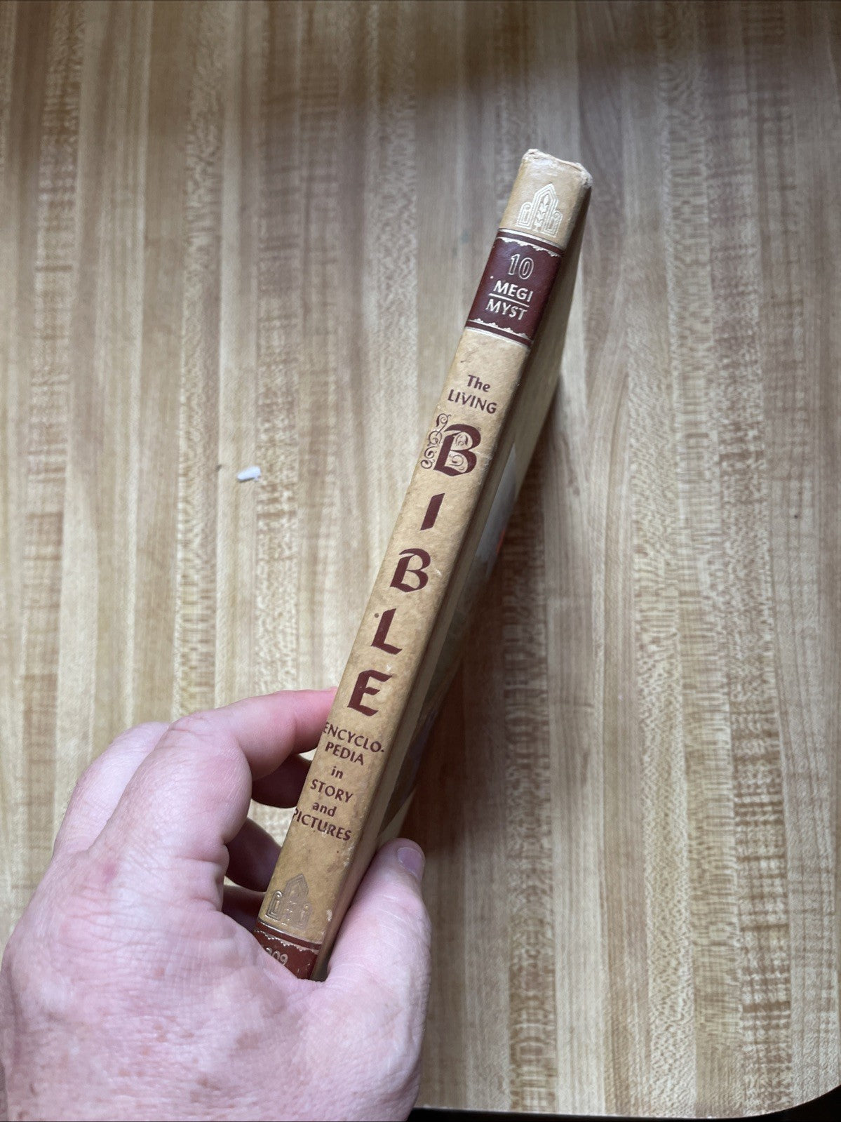 The Living Bible Encyclopedia In Story And Pictures Vol 10