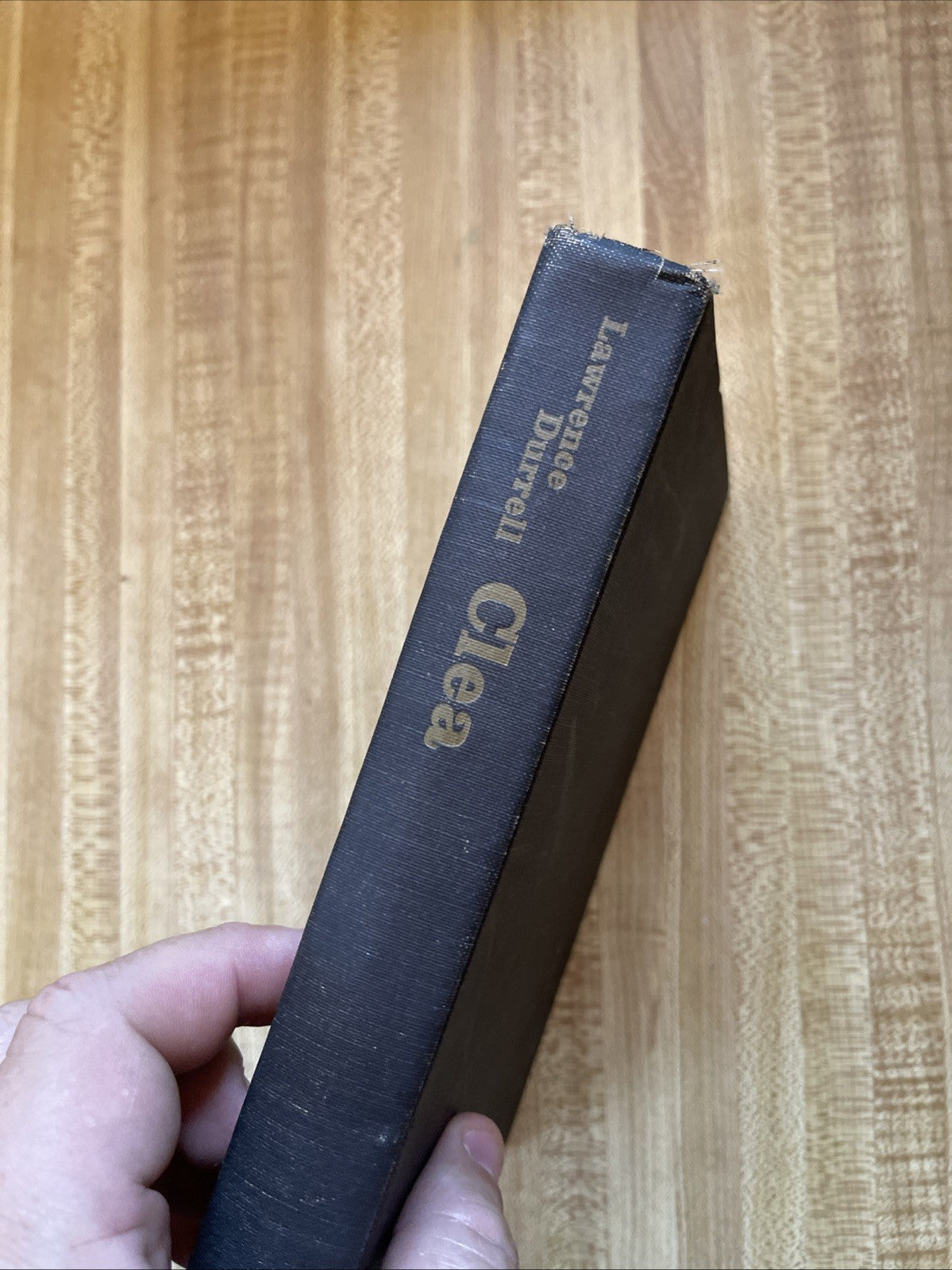Clea Hardcover