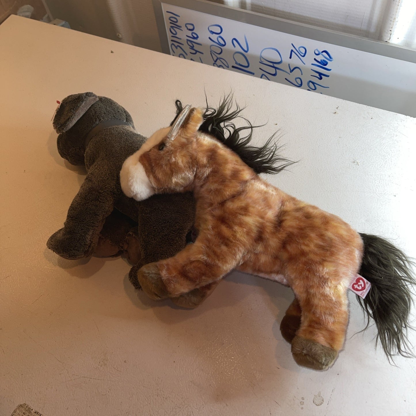 Huge Ty Beanie Babies Collection 