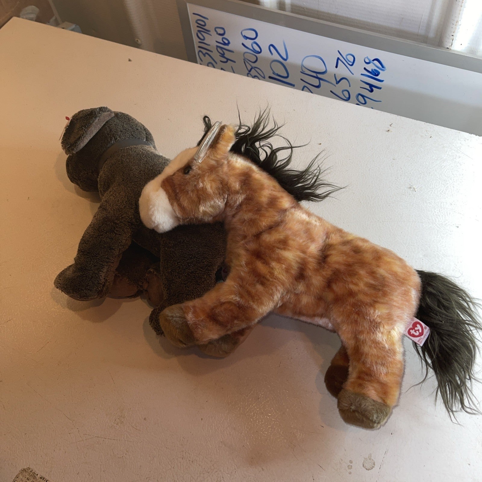 Huge Ty Beanie Babies Collection 