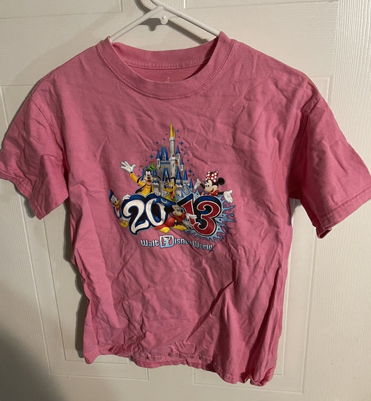 Walt Disney World 2013 Pink T Shirt Size Adult Large