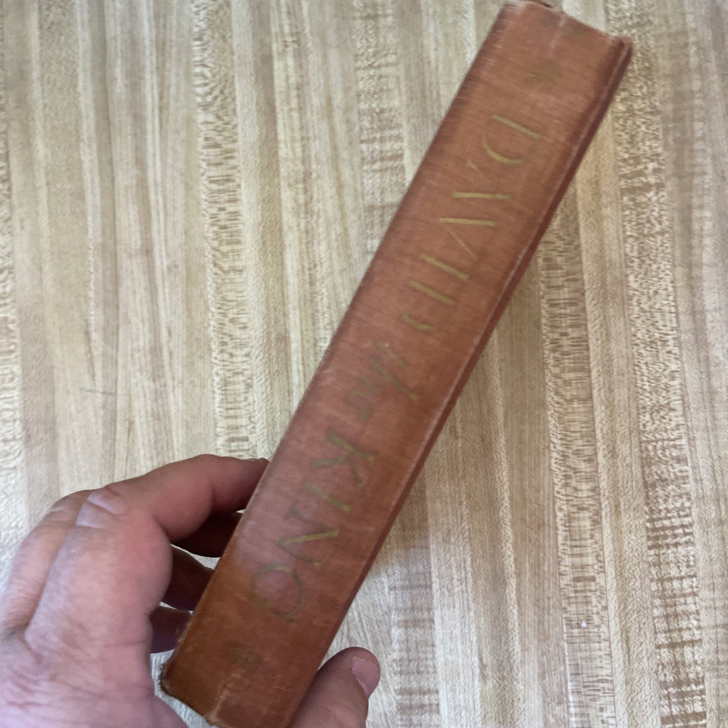 David The King Hardcover