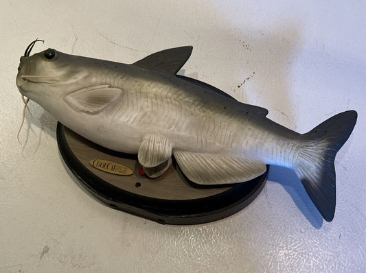 Cool Catfish