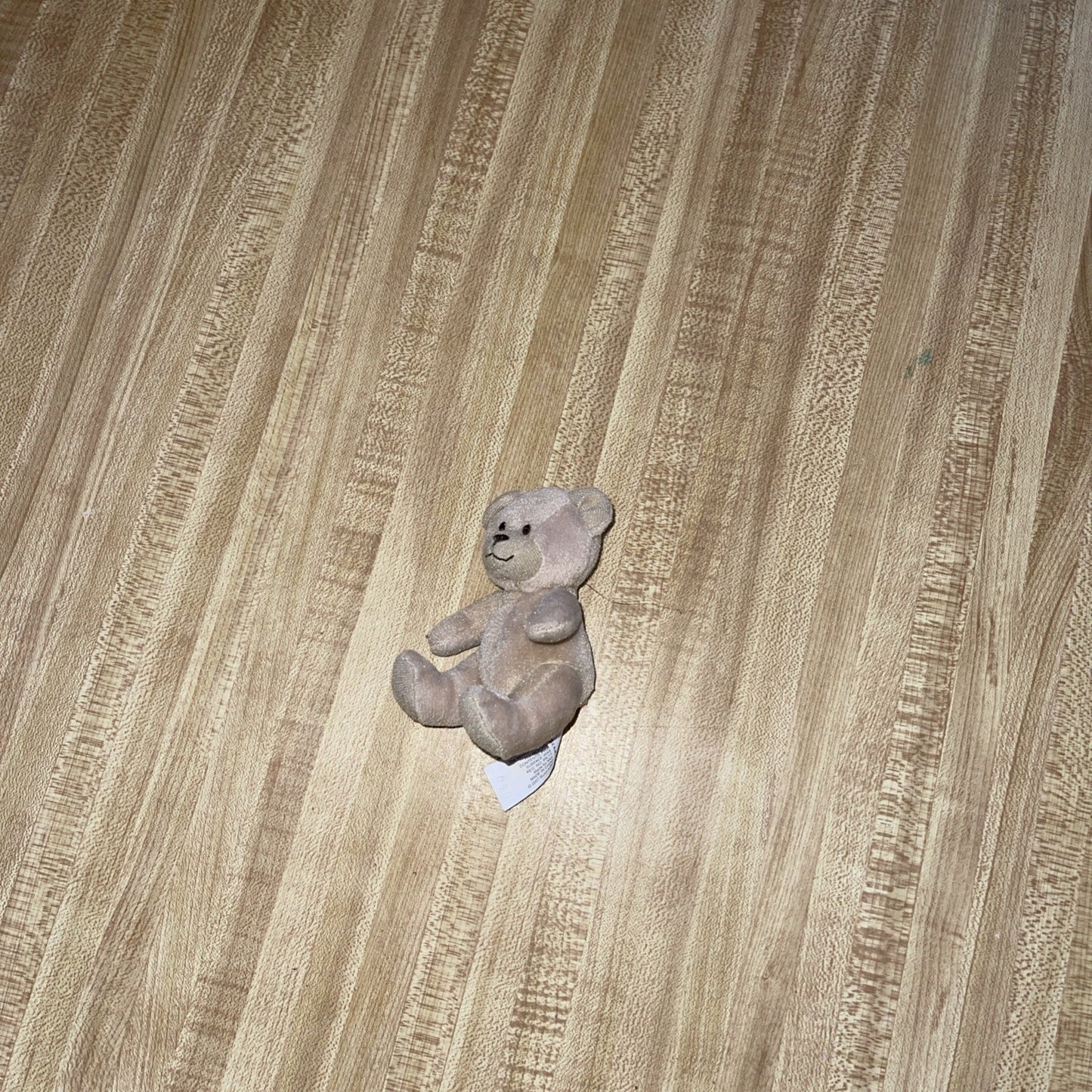Build A Bear Curly Teddy