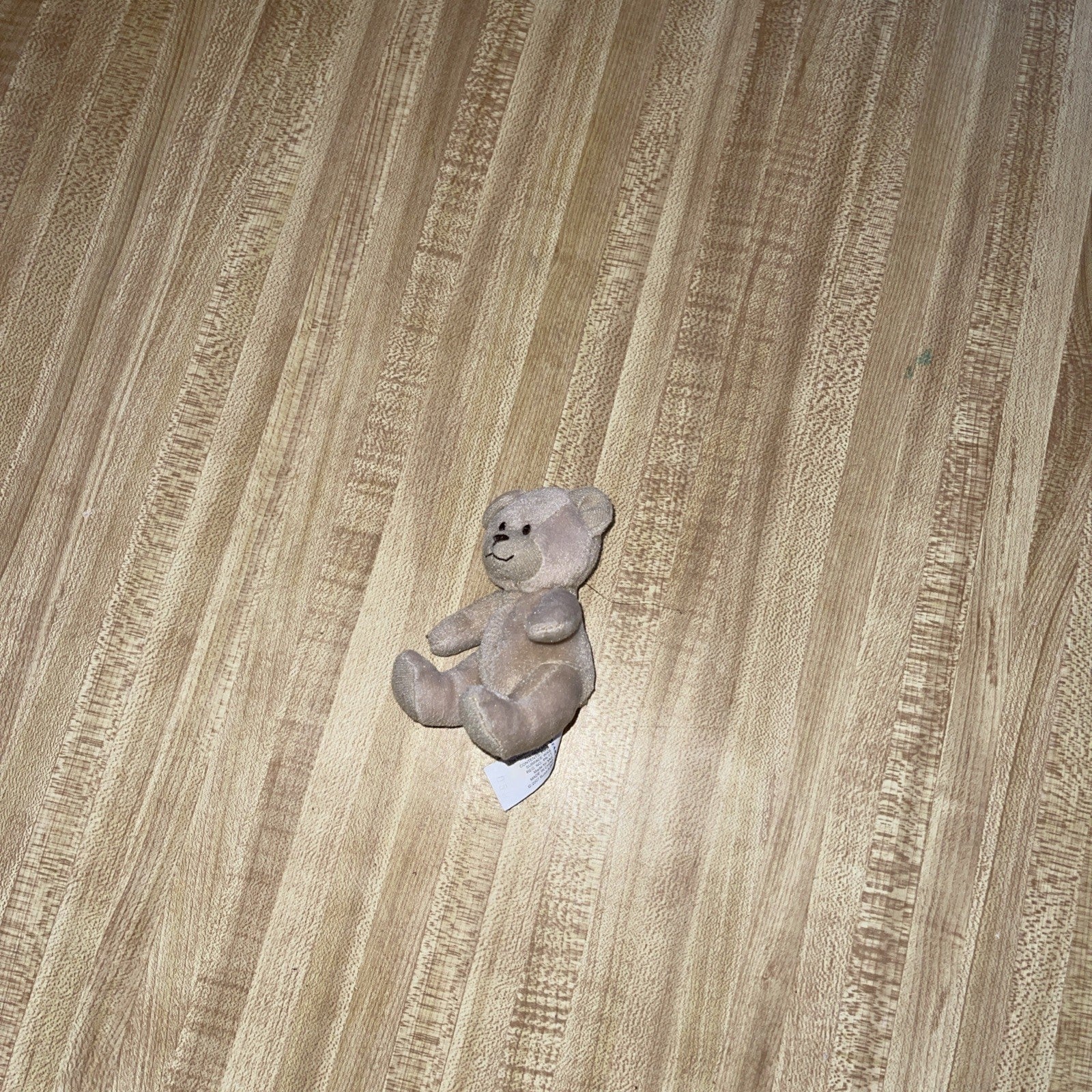 Build A Bear Curly Teddy
