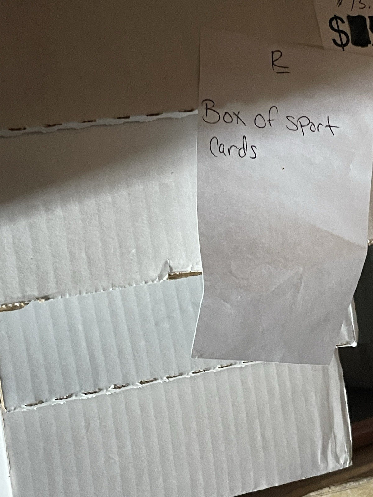 Massive Sports Card And Trading Card Collection 