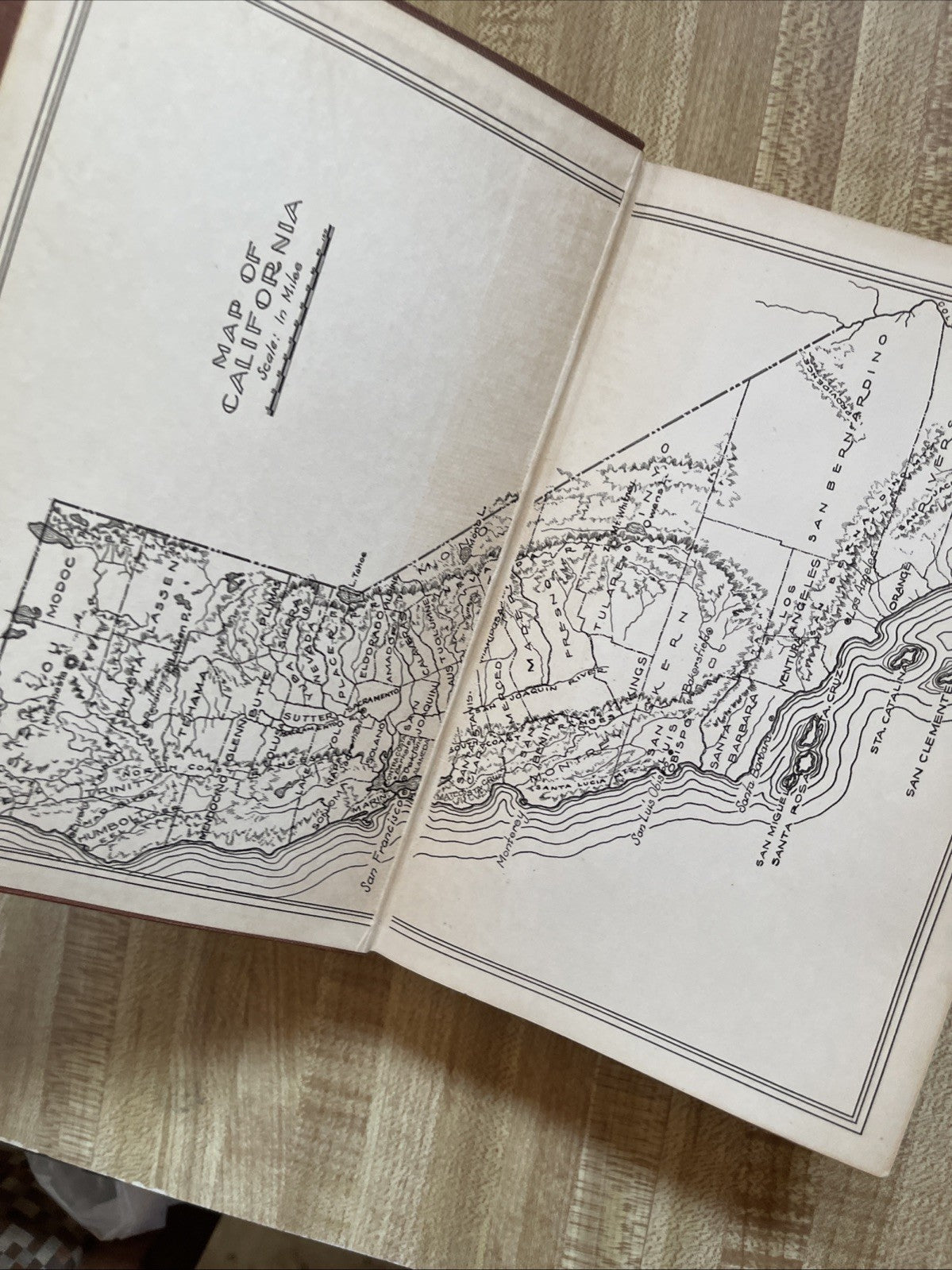 Pacific Coast Trees Hardcover 