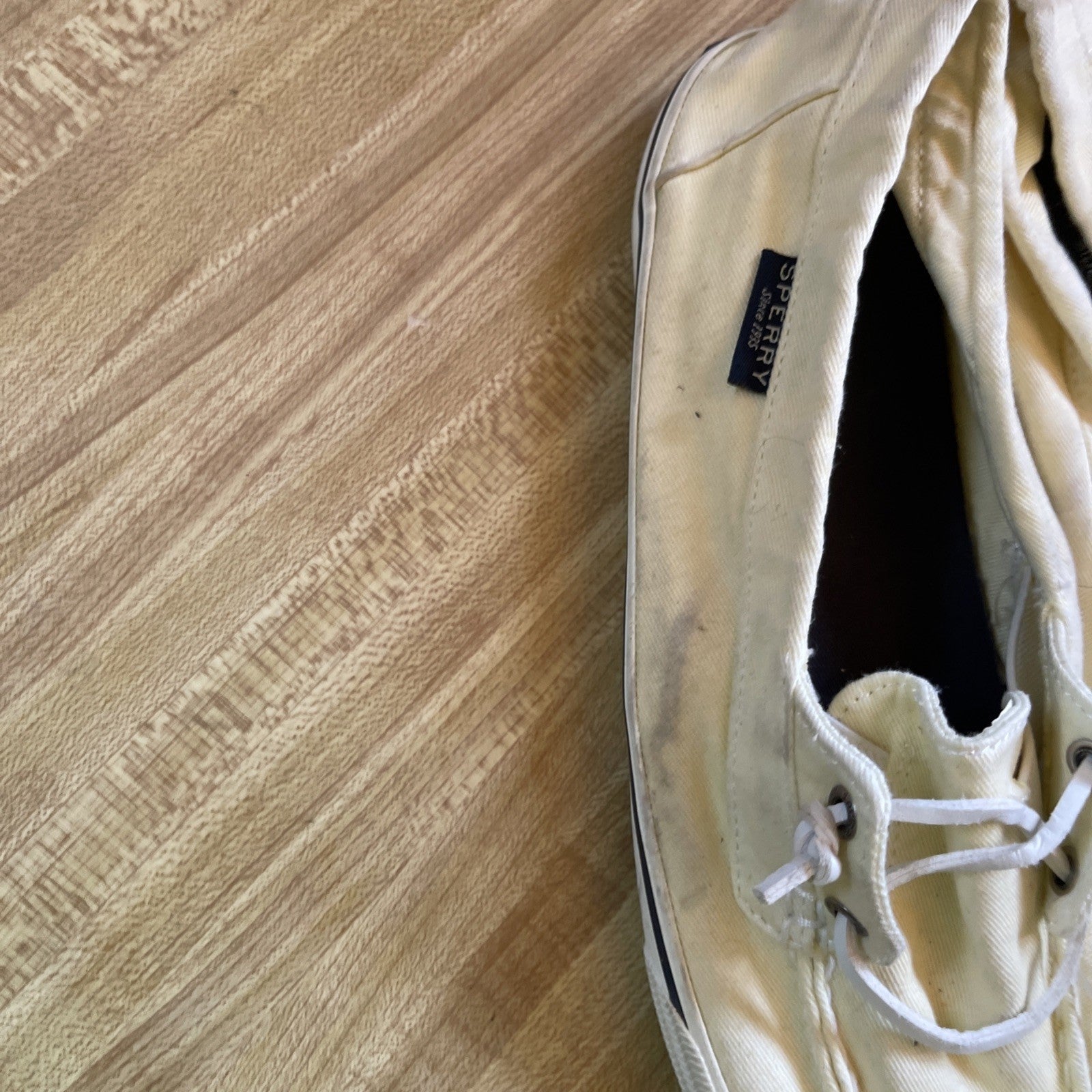 sperry top sider 10