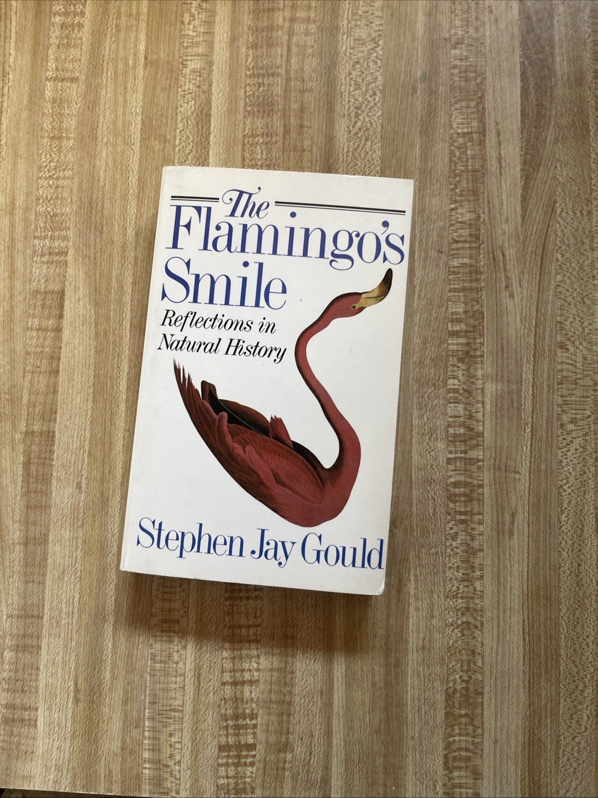 Flamingo's Smile : Reflections in Natural History by Stephen Jay Gould (1987,...