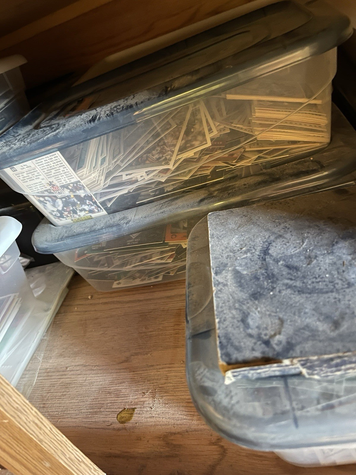 Massive Sports Card And Trading Card Collection 