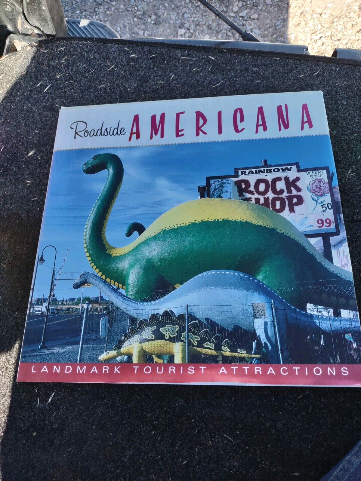 Roadside Americana by Publications International Ltd. Staff (2005, Hardcover)