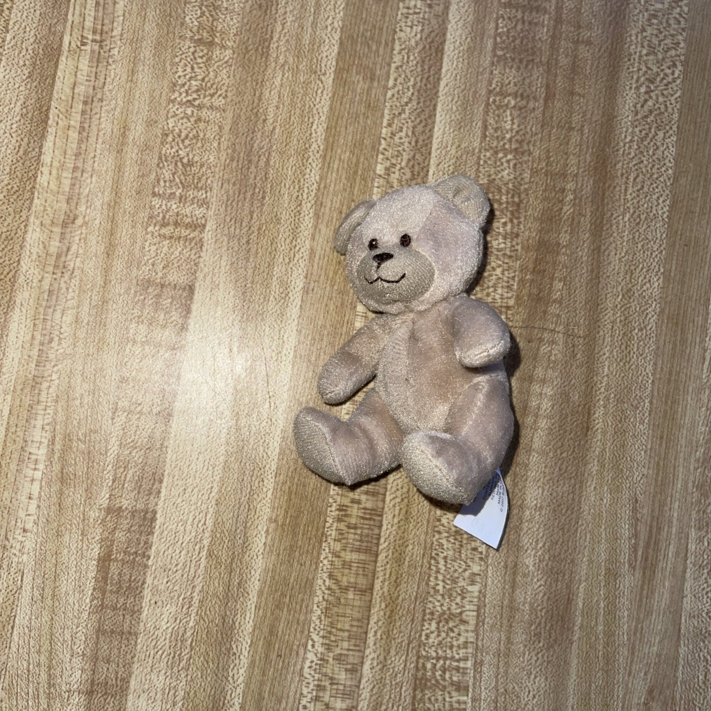 Build A Bear Curly Teddy