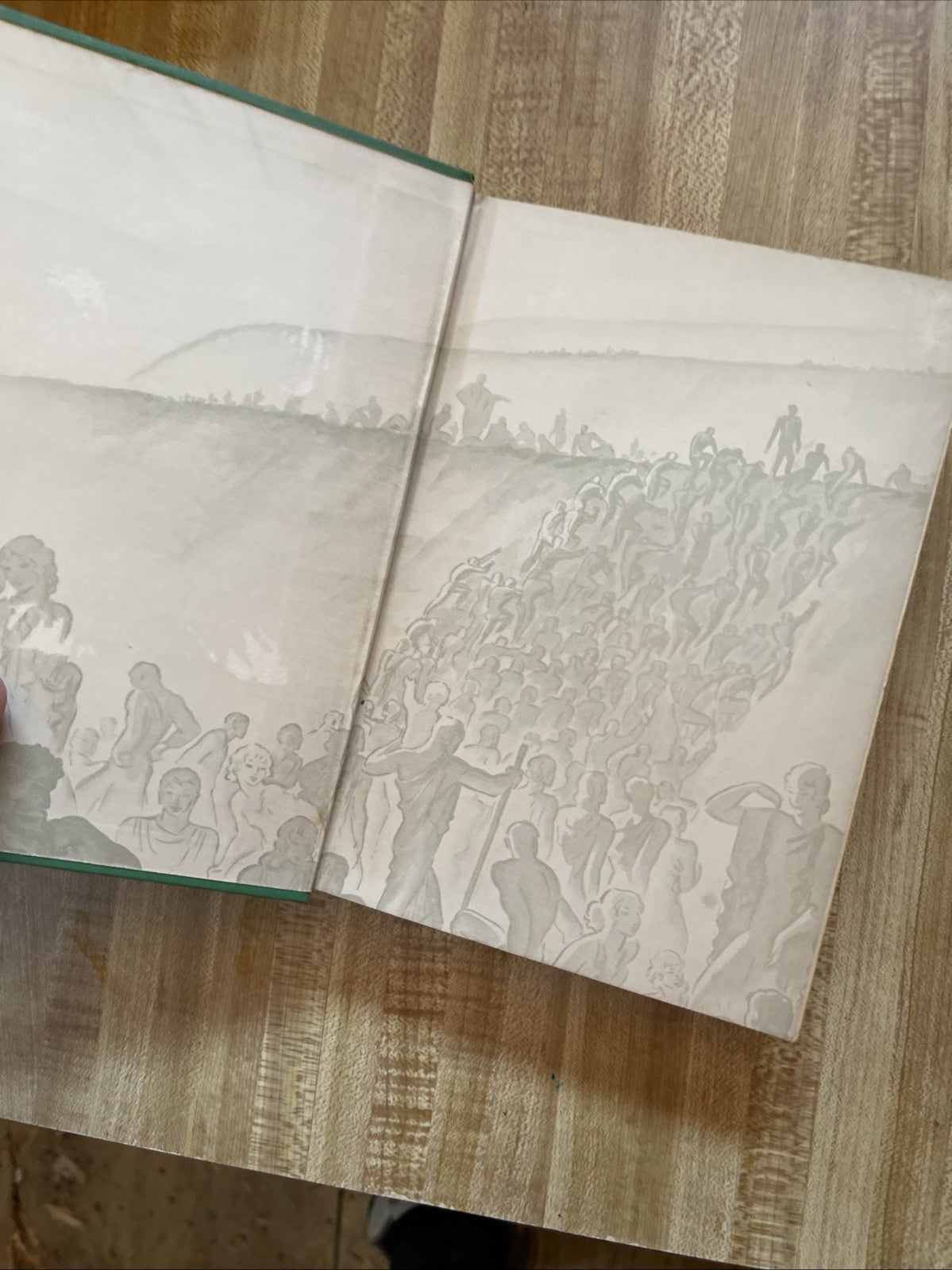 Green Light Hardcover 