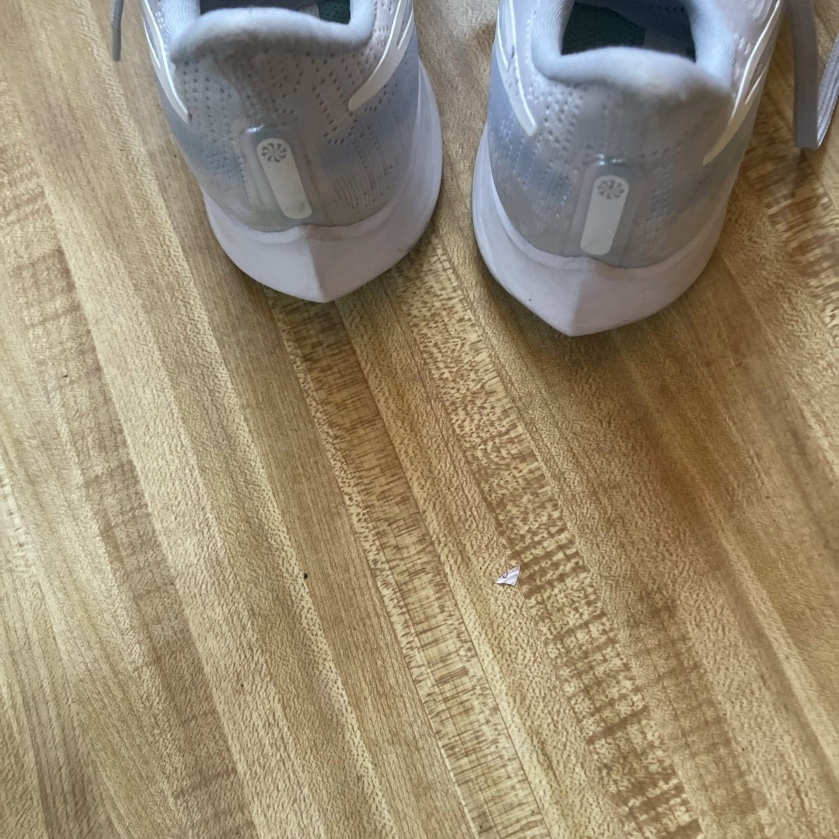 Nike Air Zoom Pegasus 36 Size 8