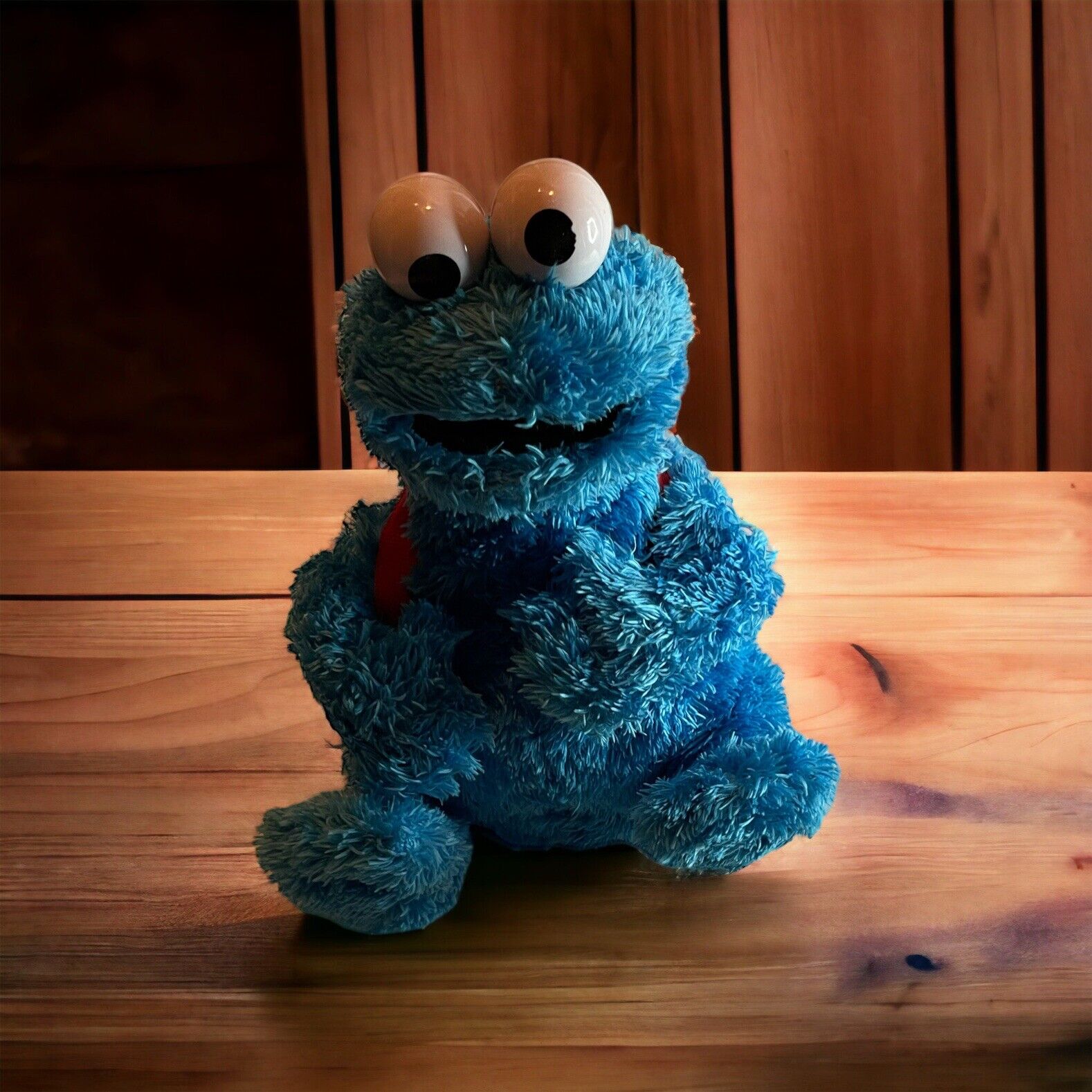 2010 Cookie Monster With Backpack 