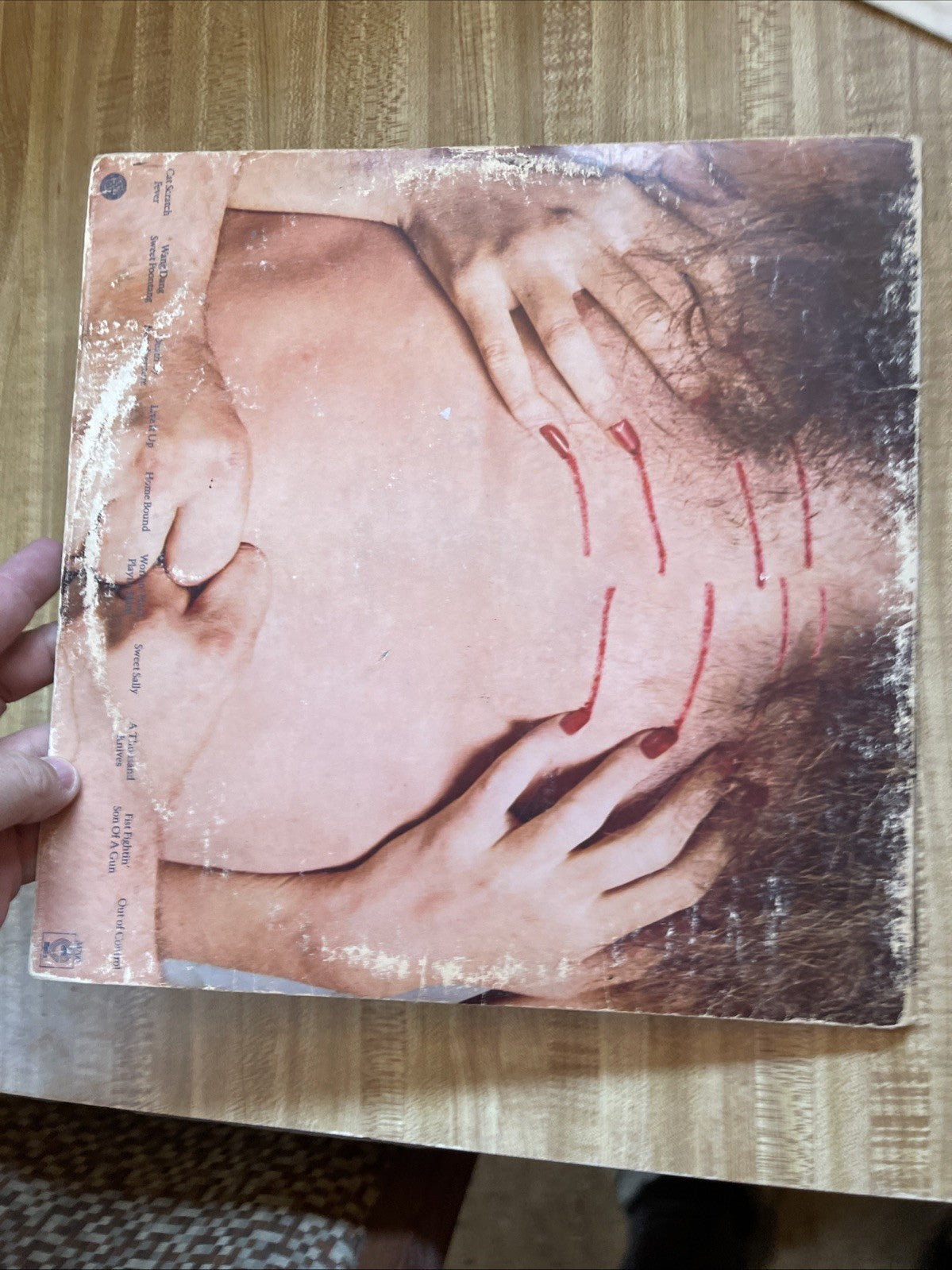 Ted Nugent Cat Scratch Fever Vinyl And His Self Titled Vinyl