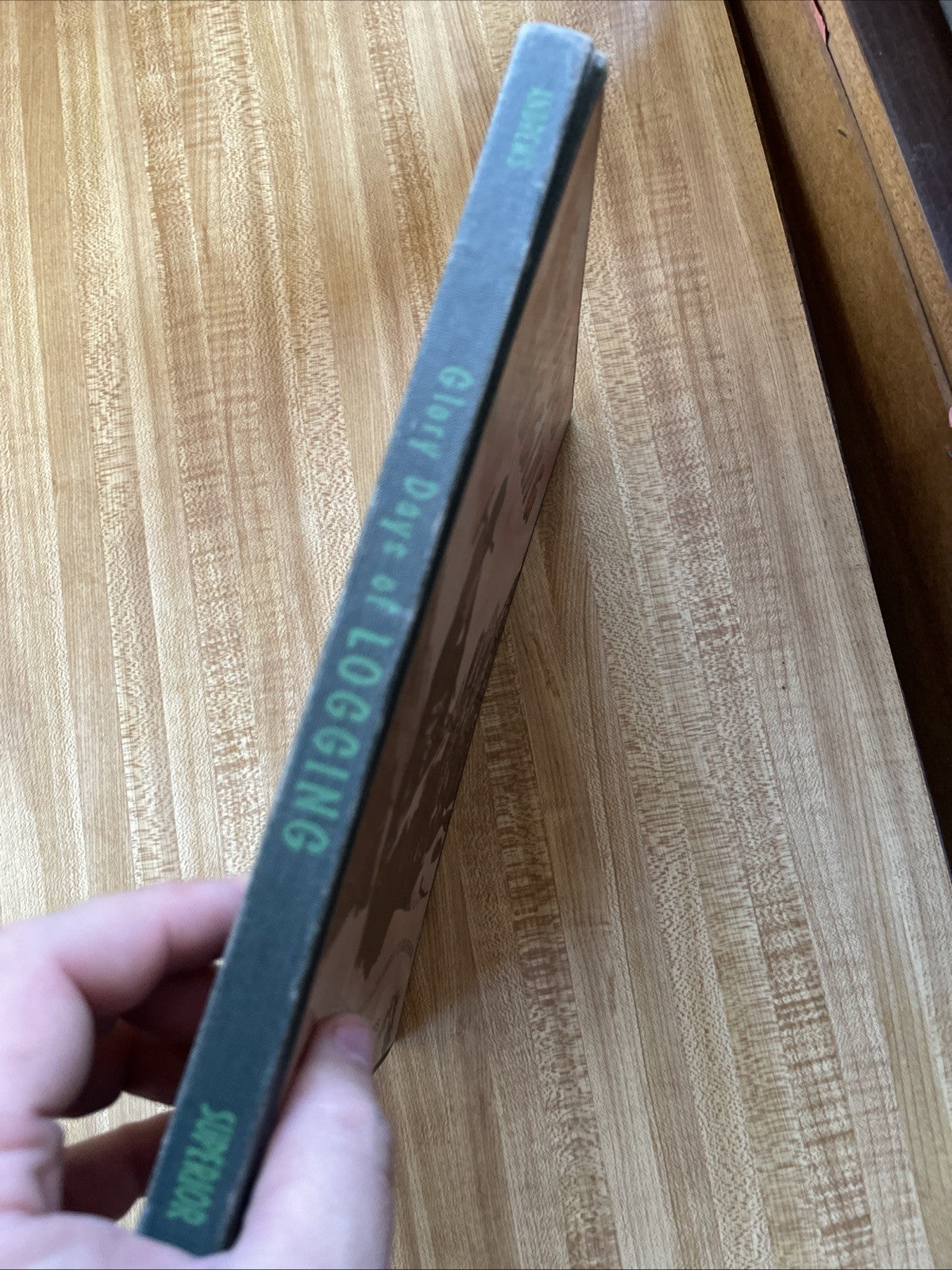 Ralph W ANDREWS / Glory Days of Logging 1st Edition 1956