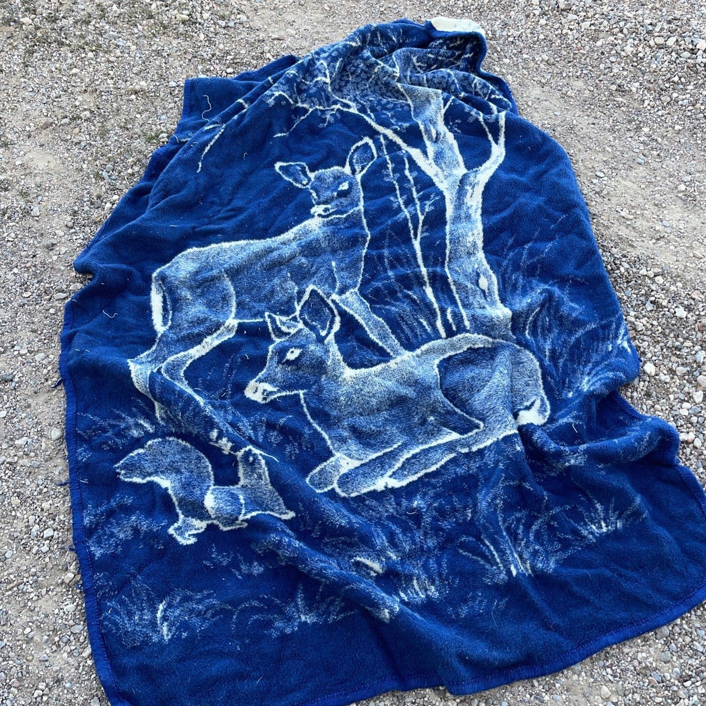 Vintage San Marcos Deer Blanket 