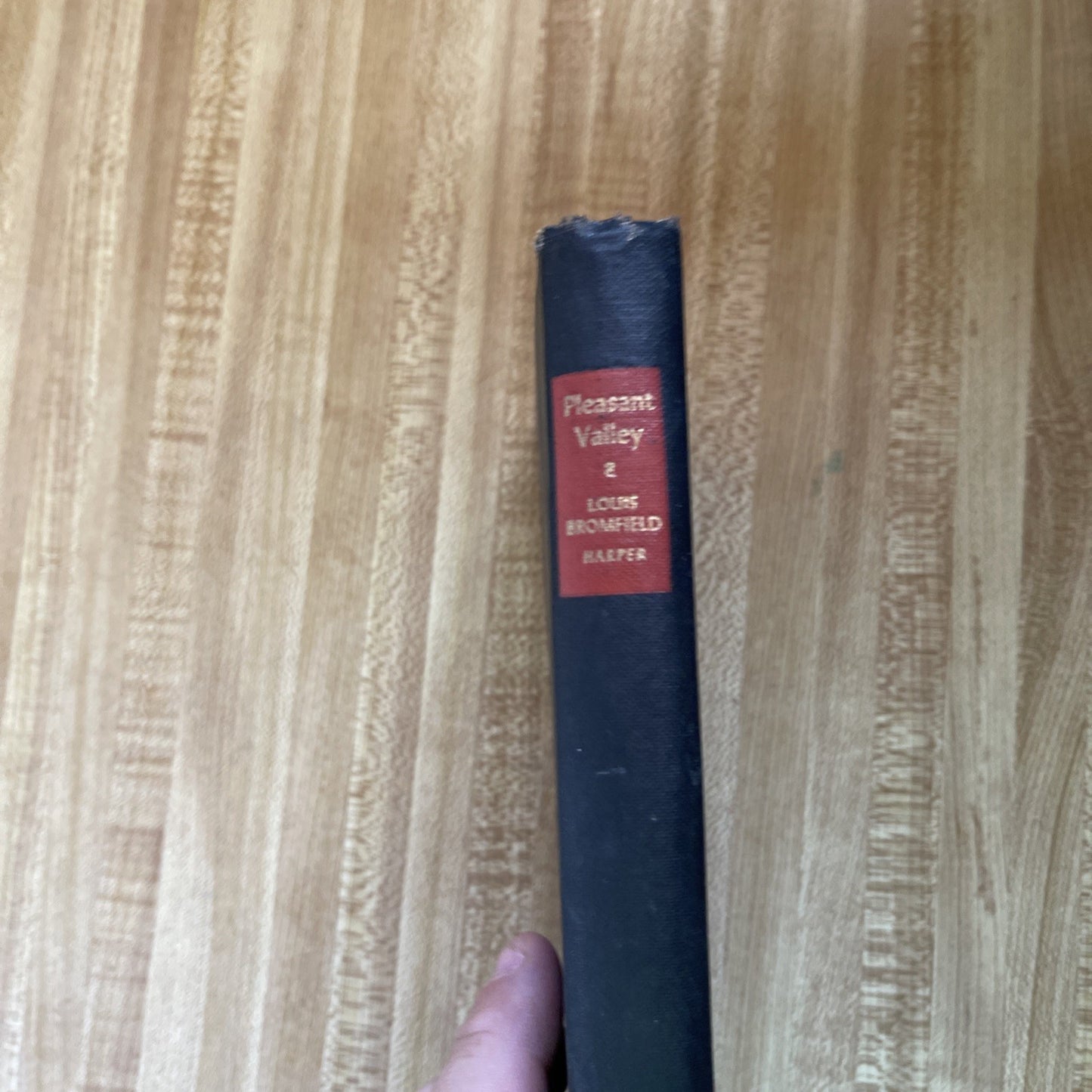 Pleasant Valley Hardcover 