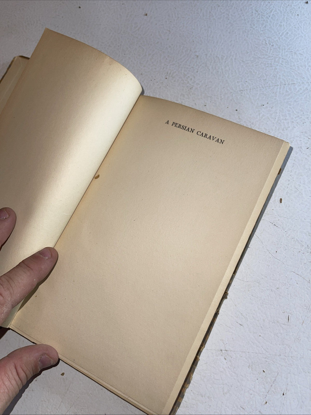 A Persian Caravan Hardcover 