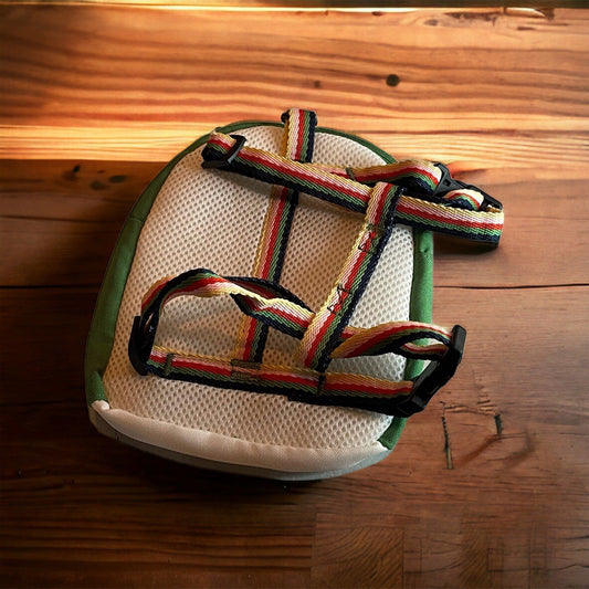 BOOTS & BARKLEY Backpack Dog Harness for Small Dog