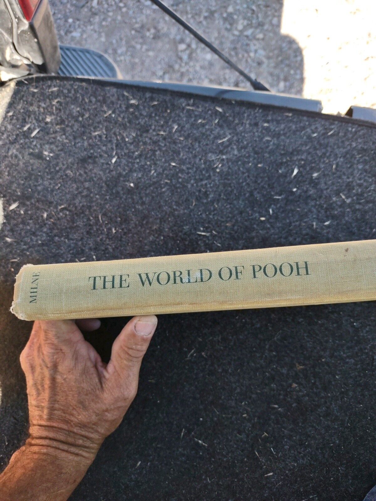 The World of Pooh by Alan Alexander Milne (1957, Hardcover)