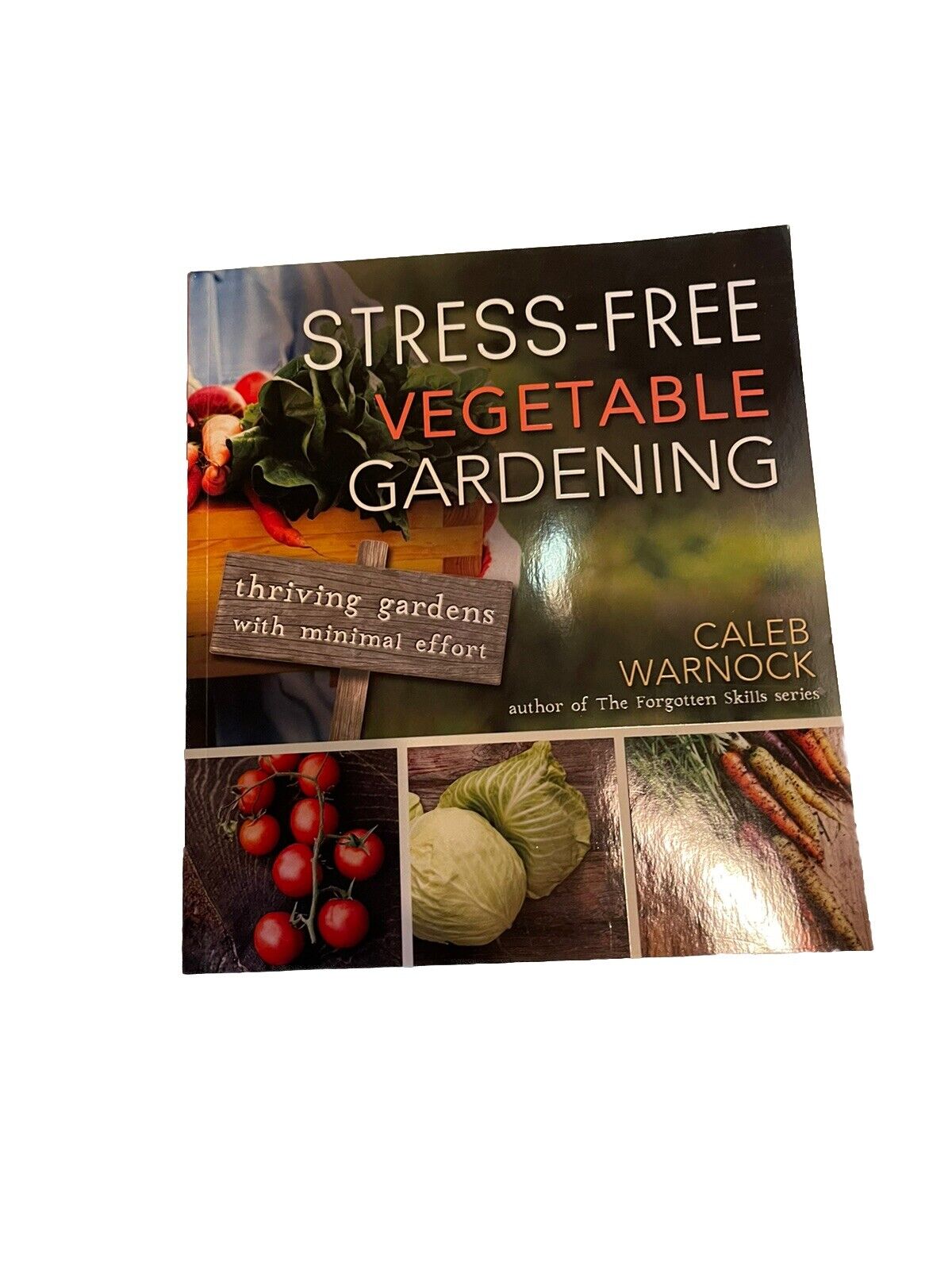 Stress-Free Vegetable Gardening : Thriving Gardens with Minimal Effort by Caleb
