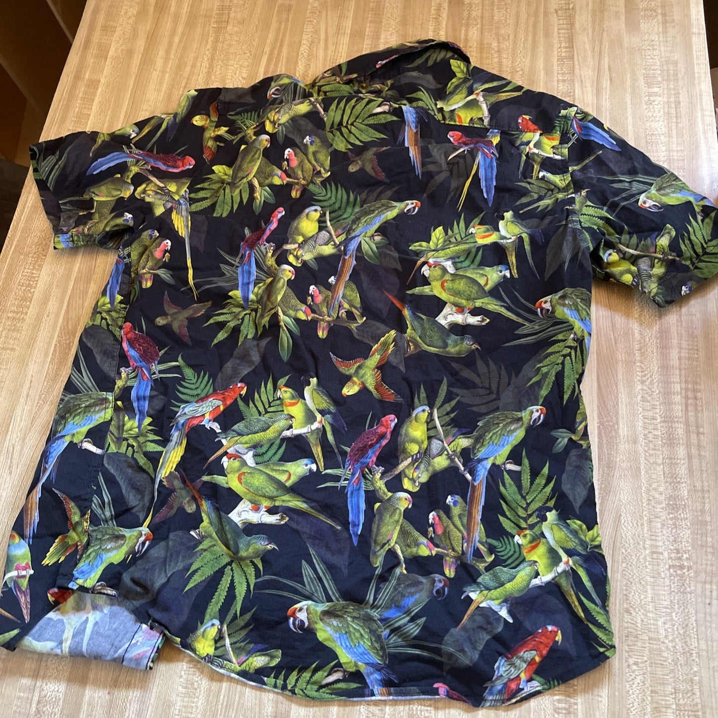 RVCA Button Up Small 