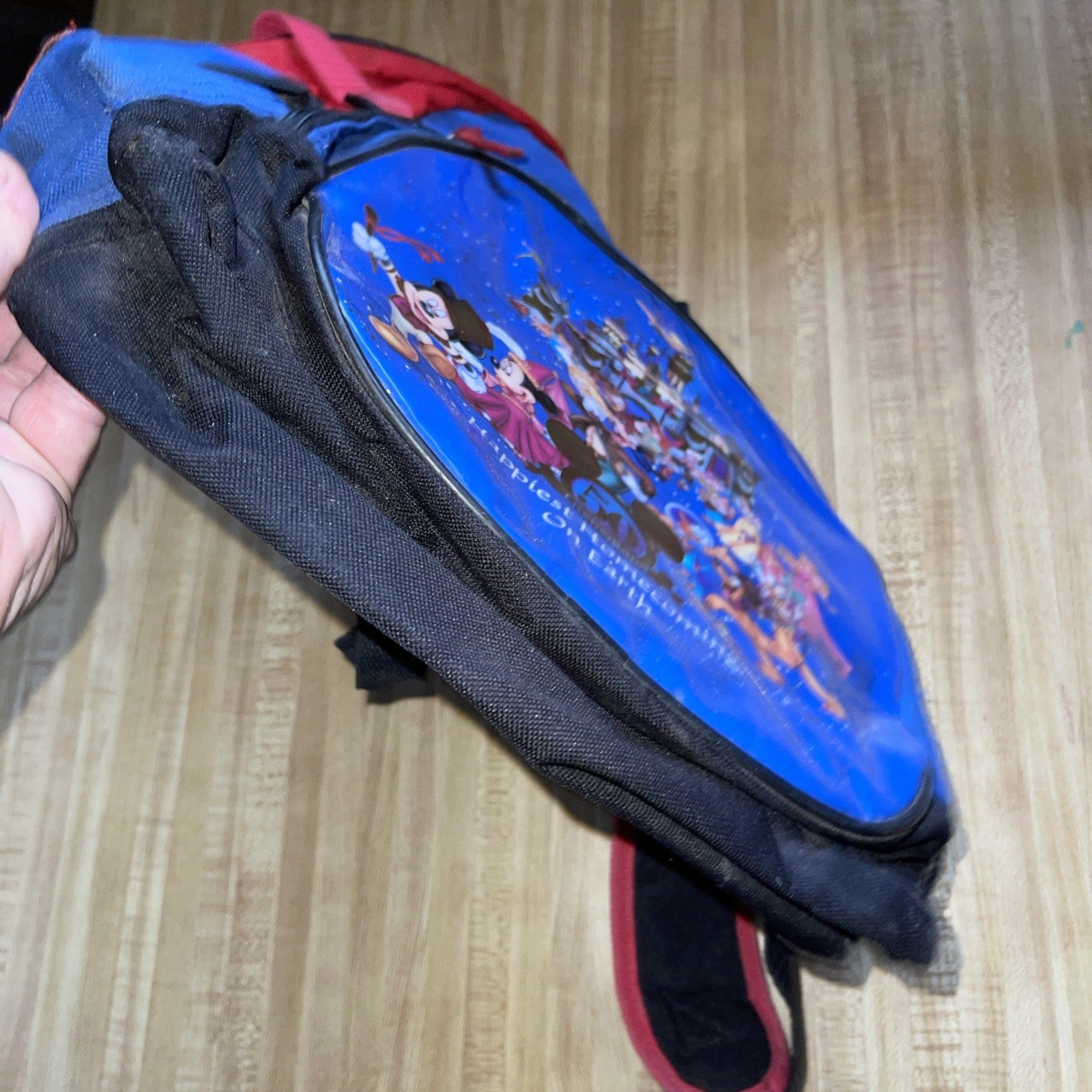 Disneyland 50th Anniversary Backpack 