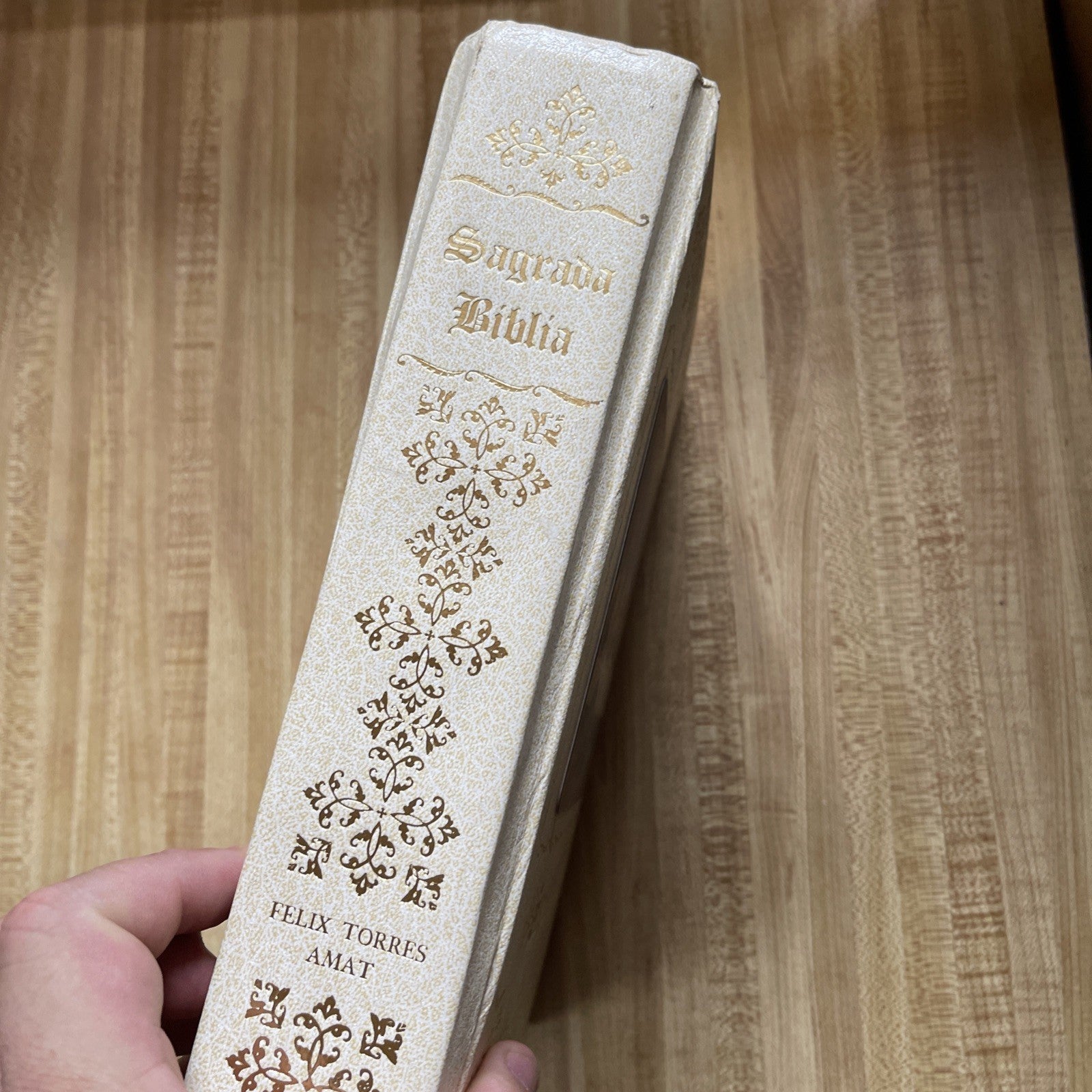 Sagrada Biblia 