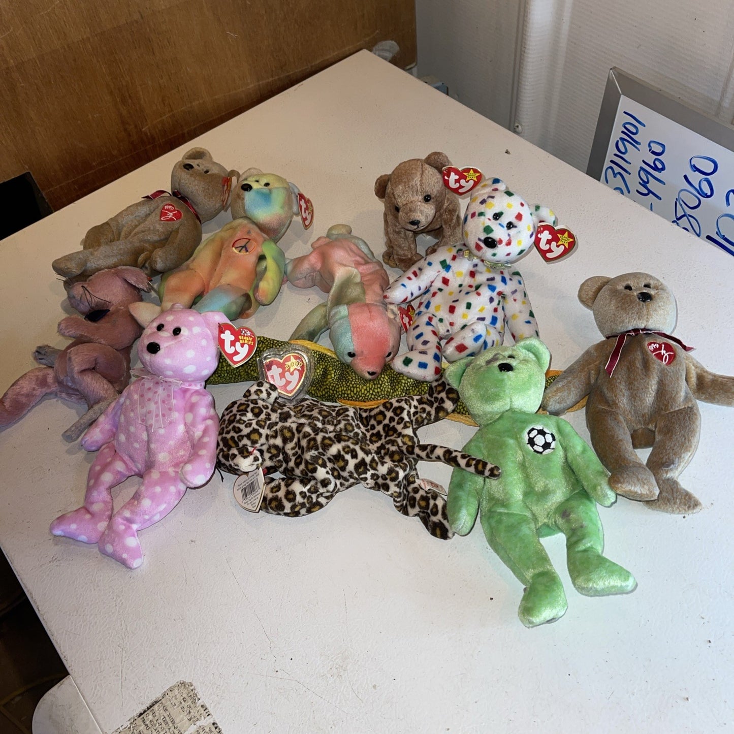 Huge Ty Beanie Babies Collection 