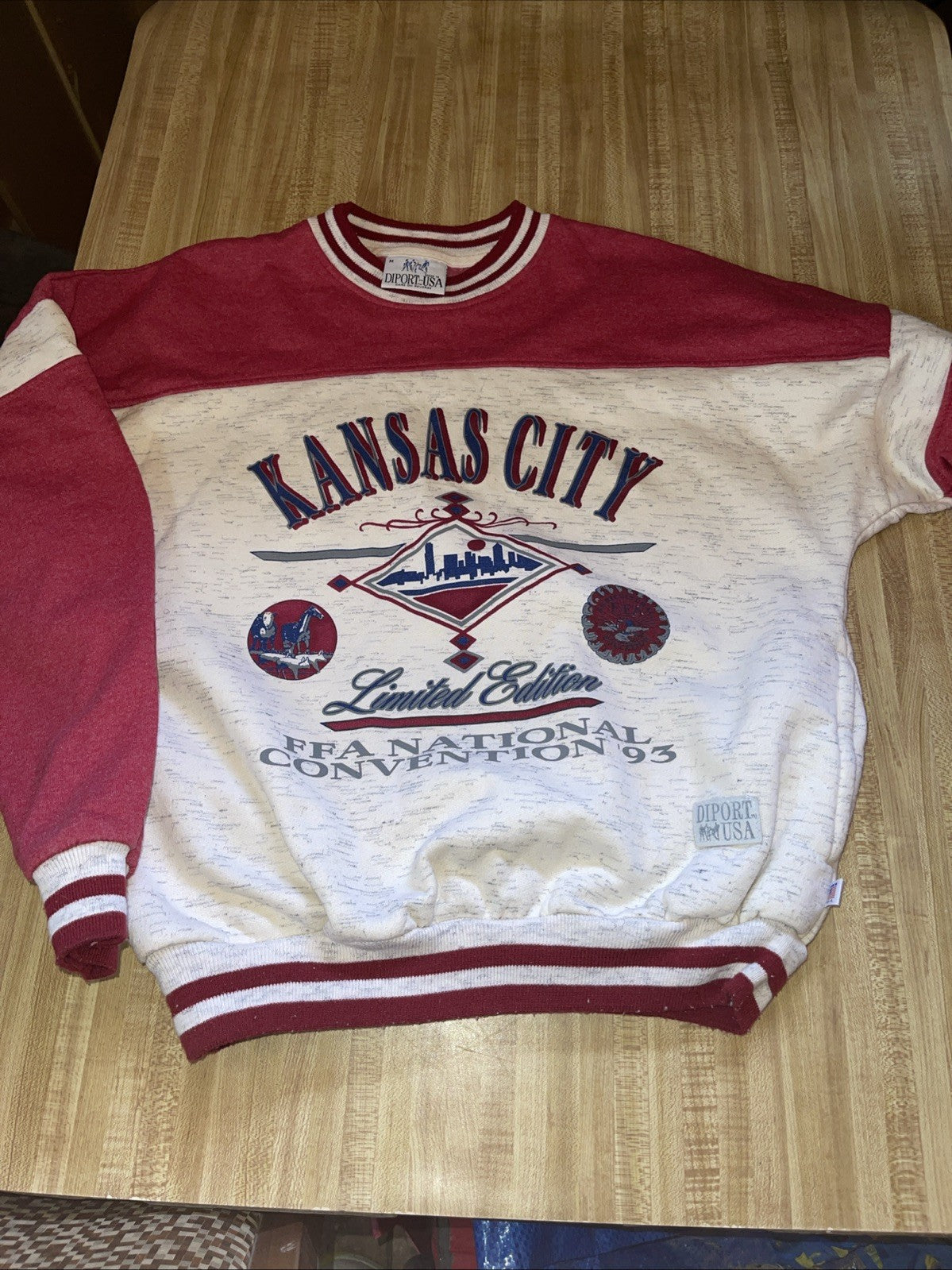 Vintage 1993 FFA National Convention Sweatshirt Medium 